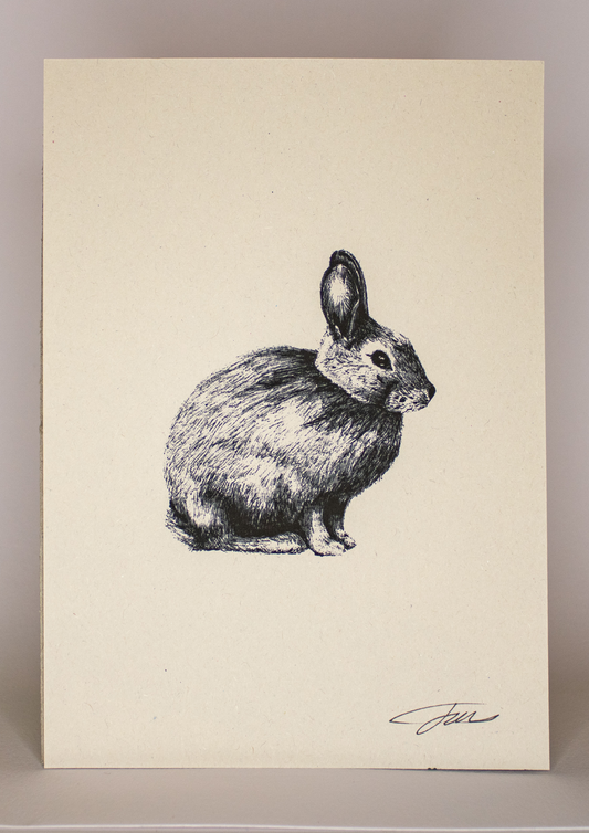 Rabbit Bunny Wildlife Art Print