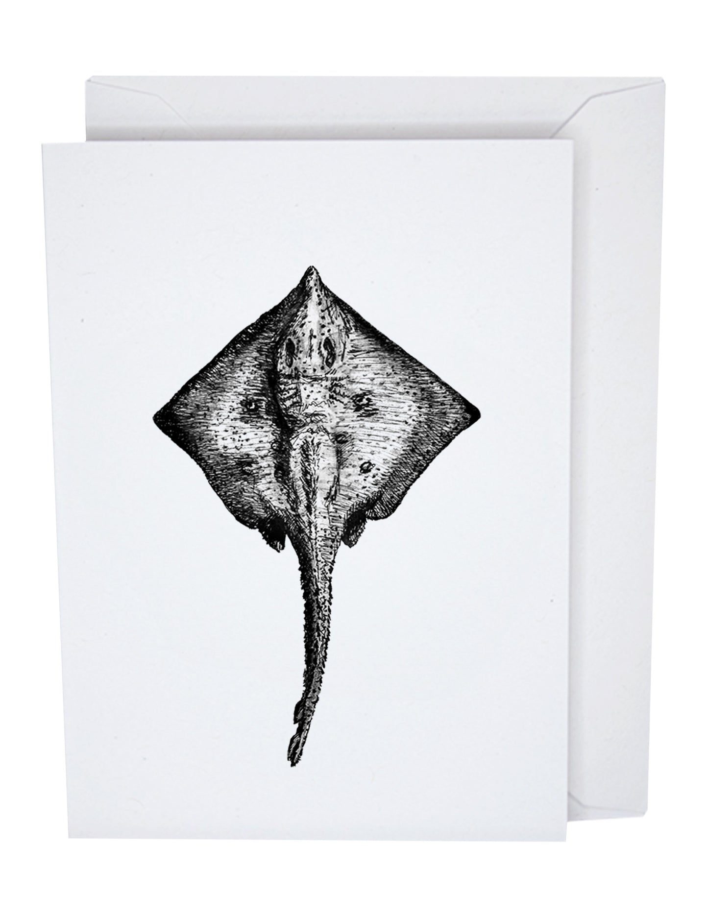 Ray Greeting Card