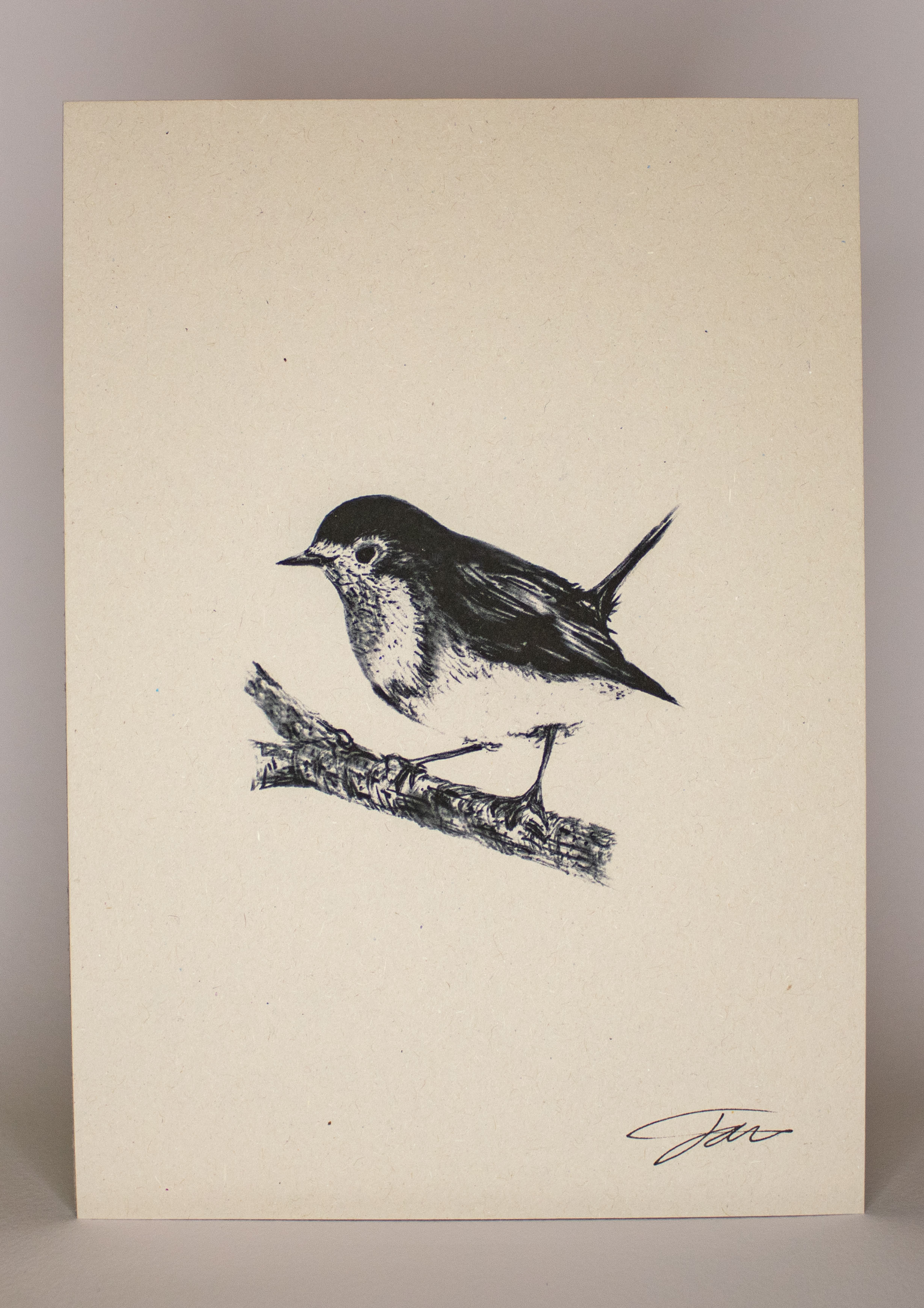 Robin Art Print On Recycled Paper by Jack Wotton 
