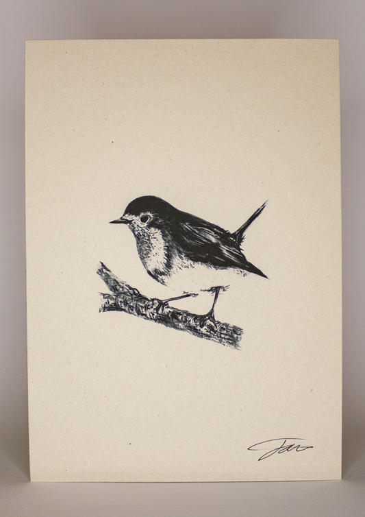 Robin Art Print On Recycled Paper by Jack Wotton 