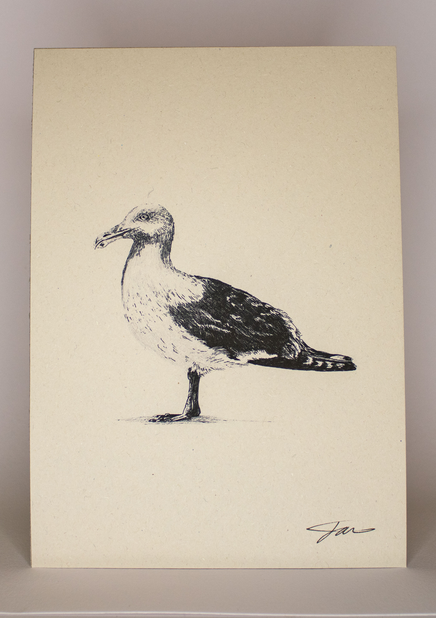 Seagull Art Print