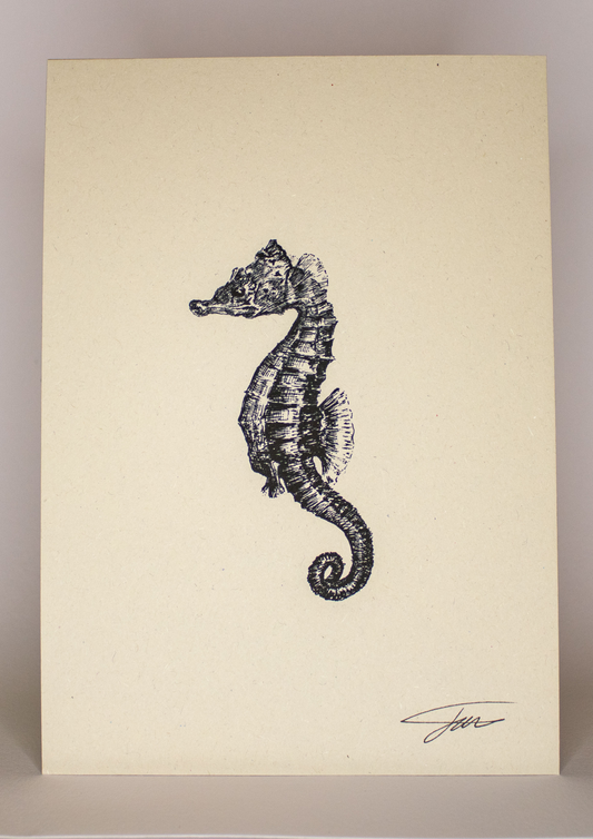 Seahorse Art Print