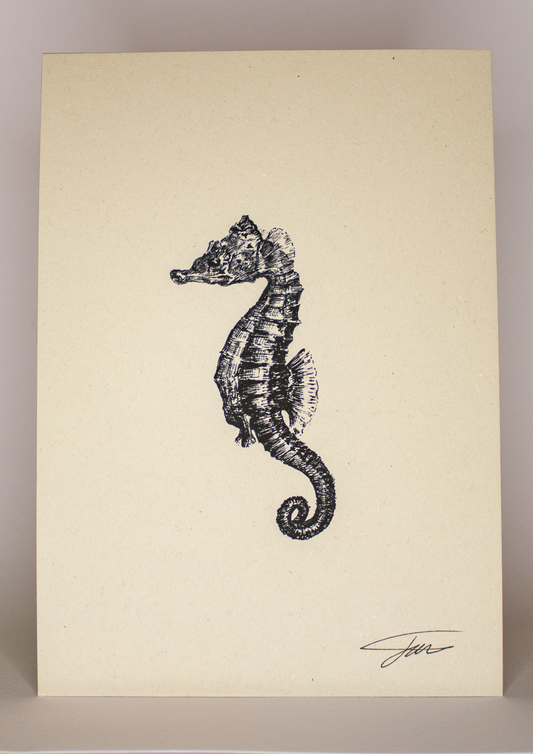 Seahorse Wildlife Art Print
