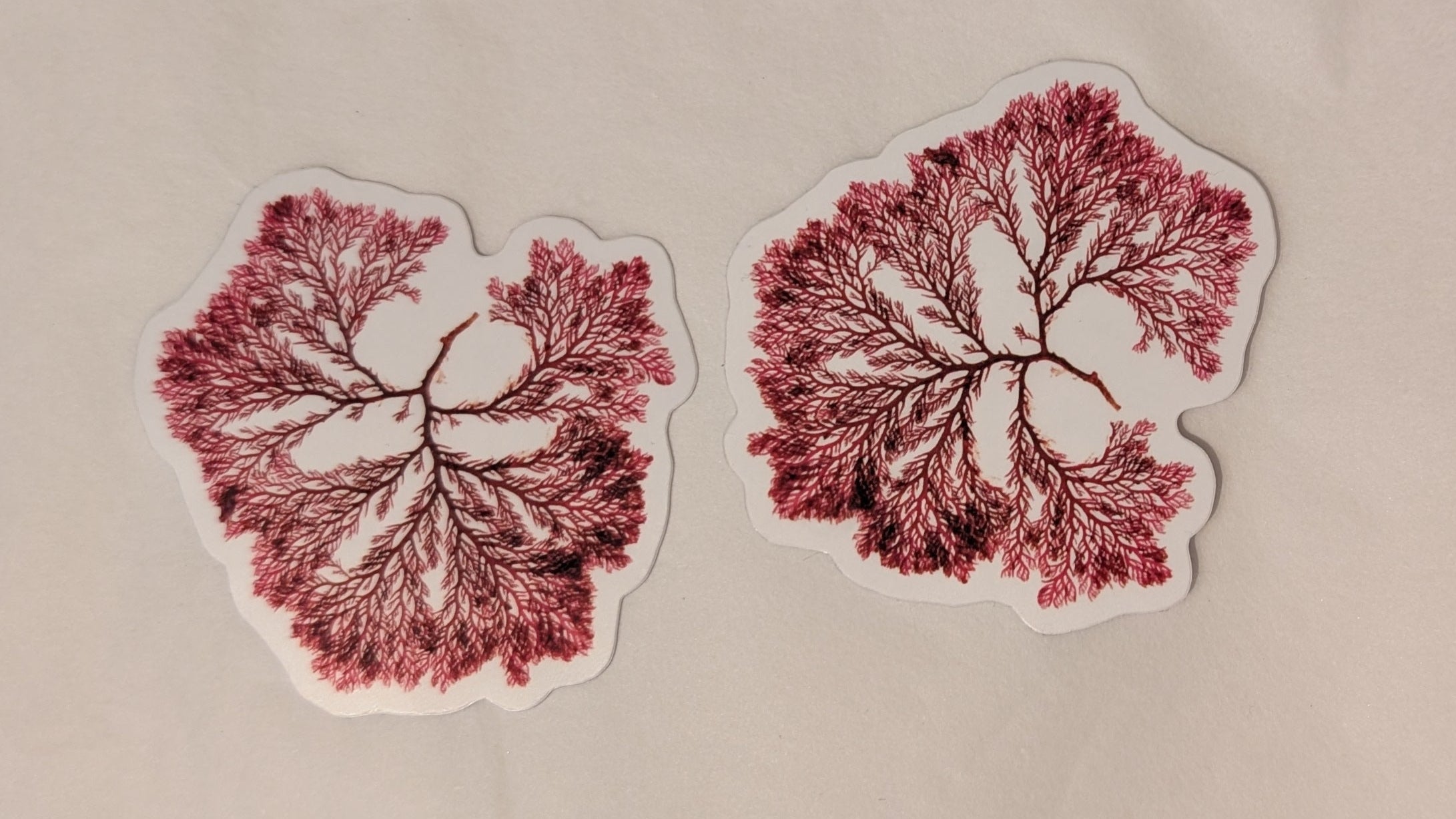 Two red seaweed stickers 