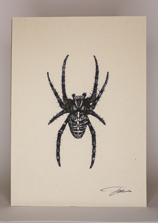 Spider Art Print