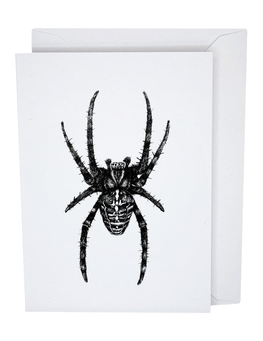 Spider Recycled Paper Blank Greeting Card