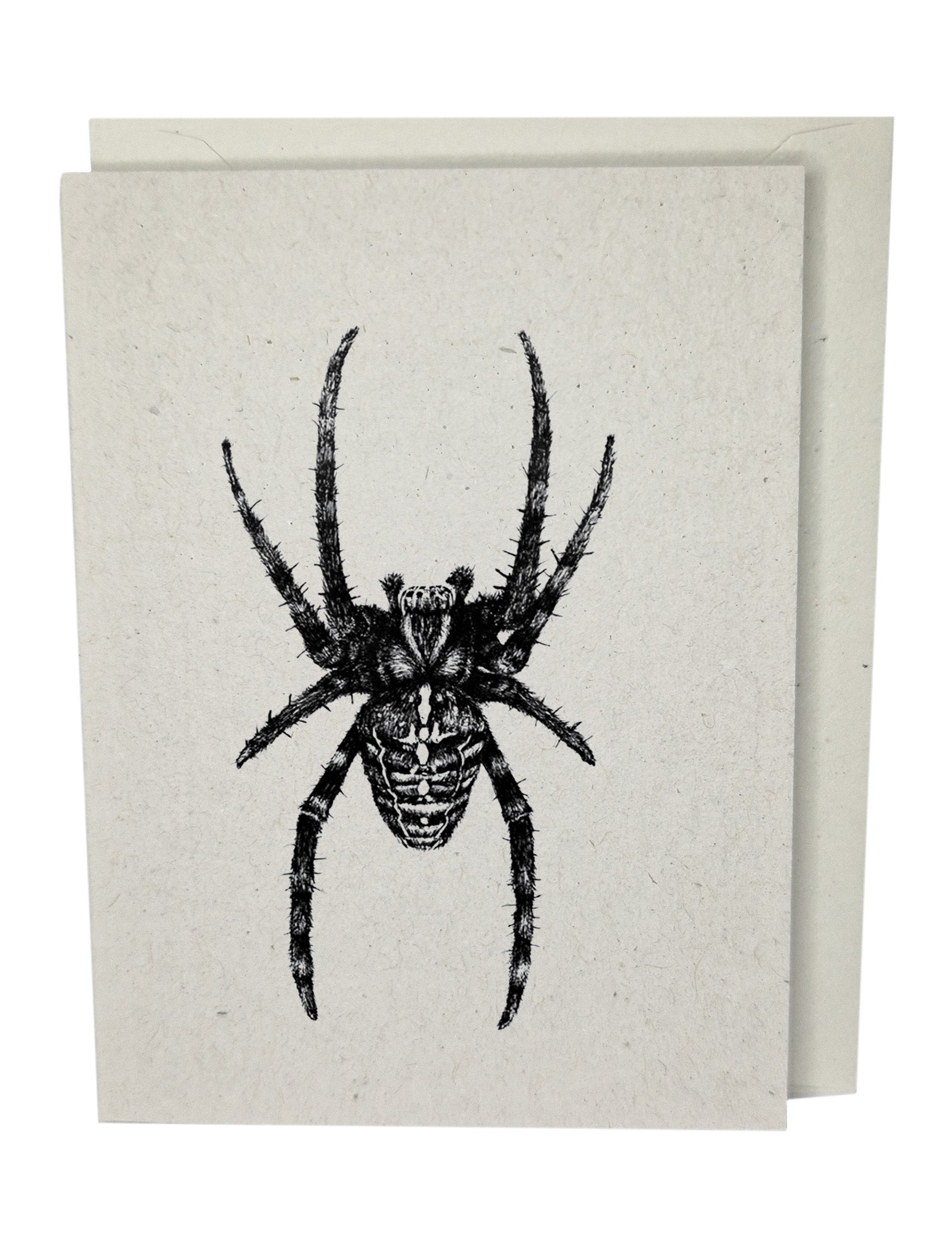 Spider Recycled Paper Brown Blank Greeting Card
