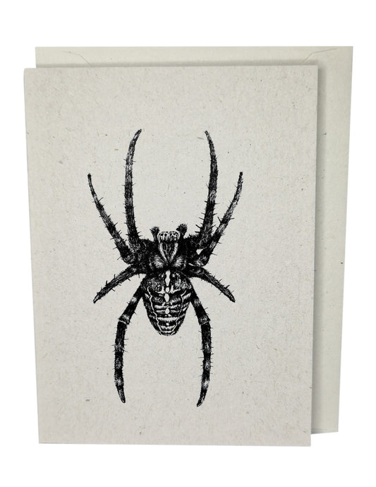 Spider Recycled Paper Brown Blank Greeting Card