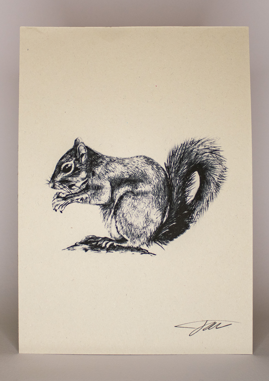 Squirrel Art Print