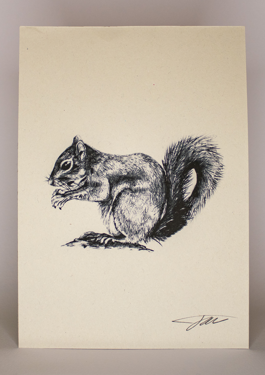 Squirrel Wildlife Art Print