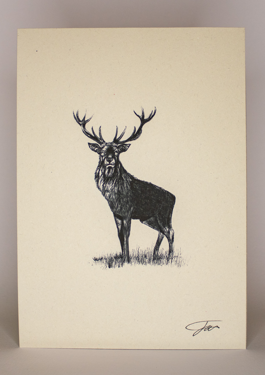 Stag Wildlife Art Print