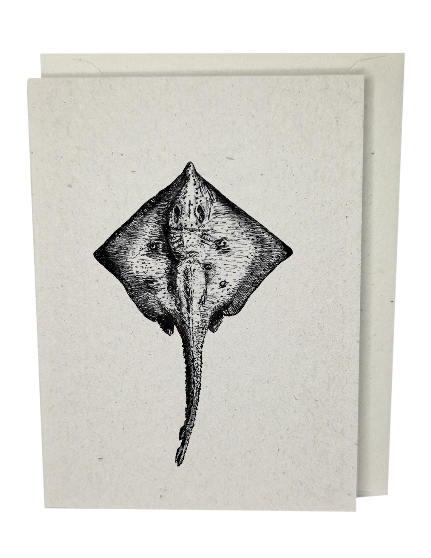 Stingray Recycled Paper Brown Blank Greeting Card