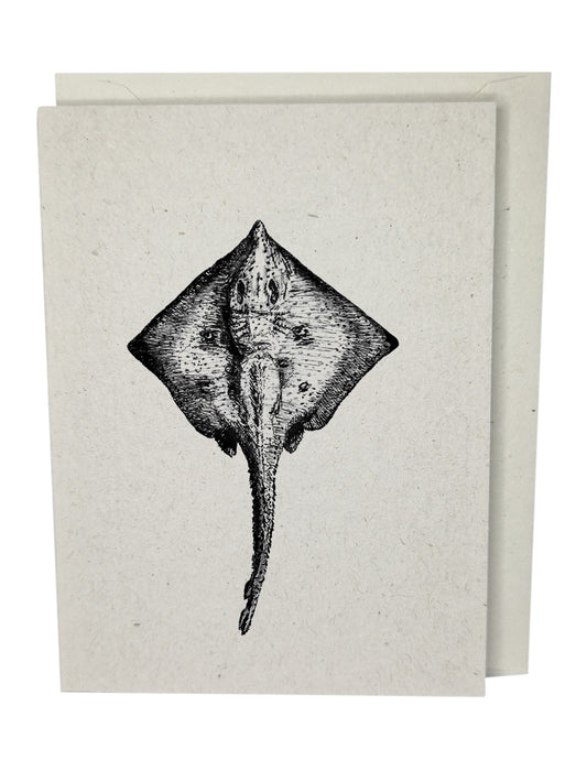 Stingray Recycled Paper Brown Blank Greeting Card