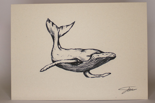 Whale Art Print