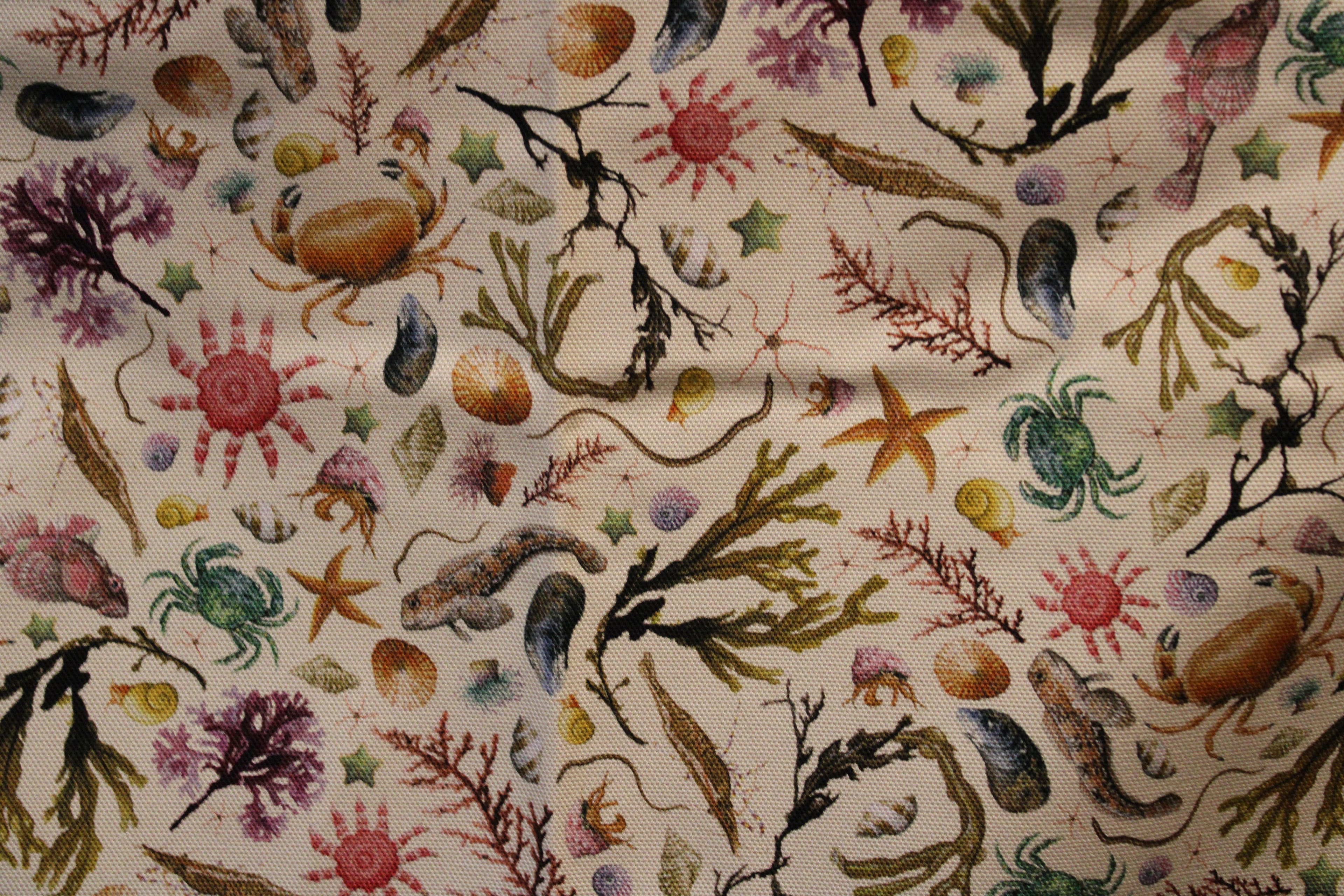 White Illustrated Rockpool Coastal Sea Creatures Pattern Print - Crabs, Fish, Seaweed, Shells, Starfish and Anemones