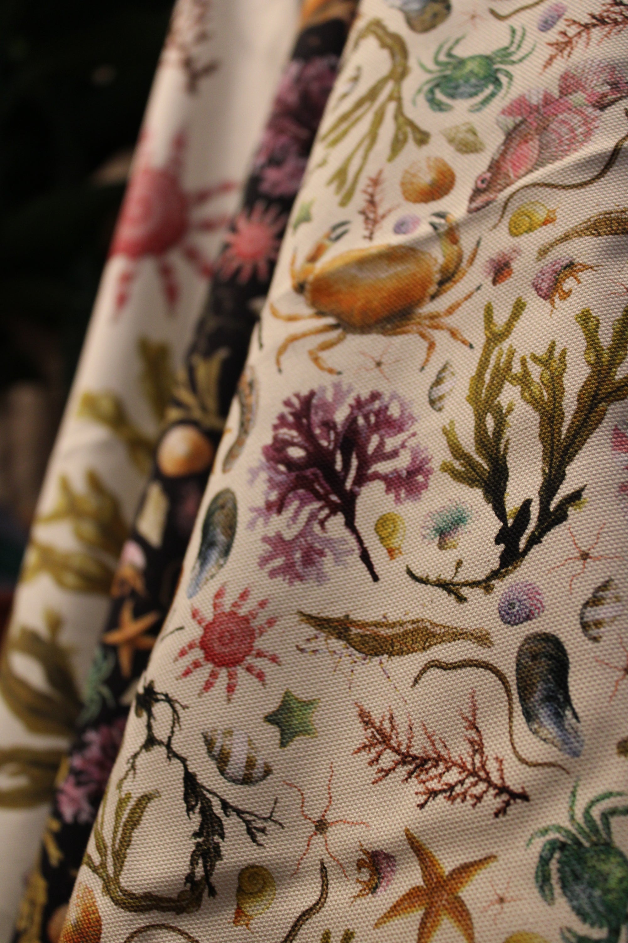 White Tea Towel With Illustrated Rockpool Coastal Sea Creatures Pattern Print - Crabs, Fish, Seaweed, Shells, Starfish and Anemones