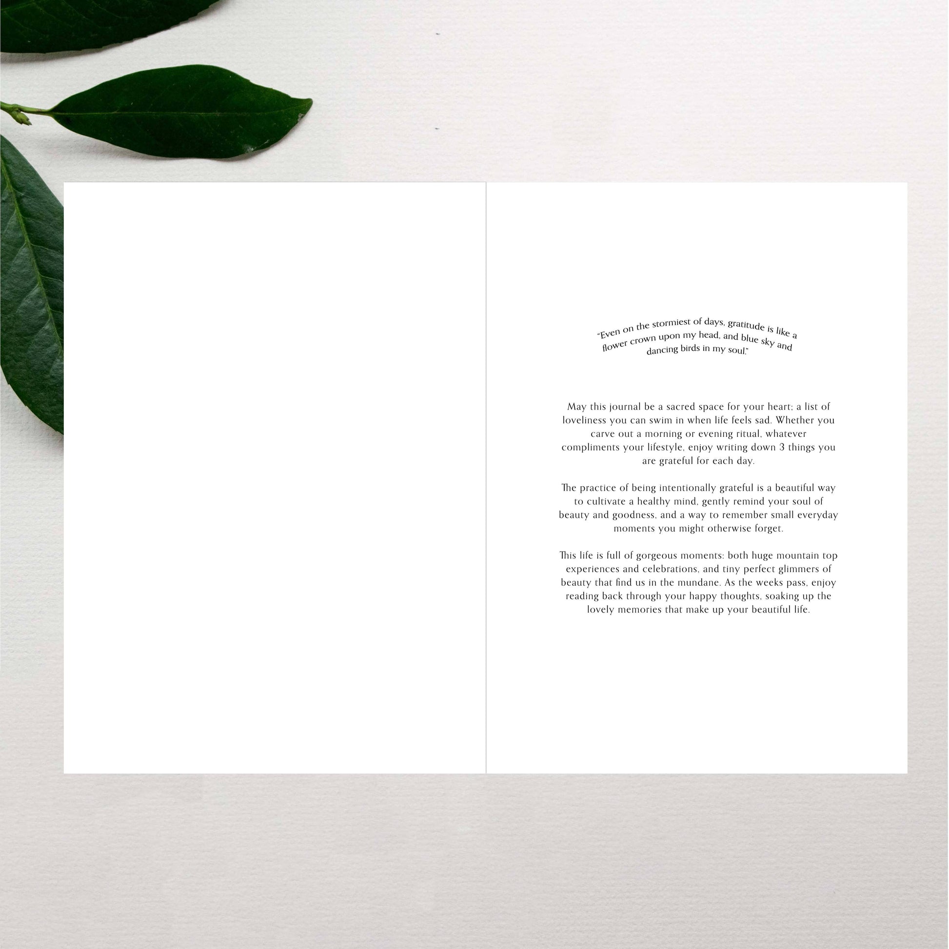 Wildflower Gratitude Journal Inside