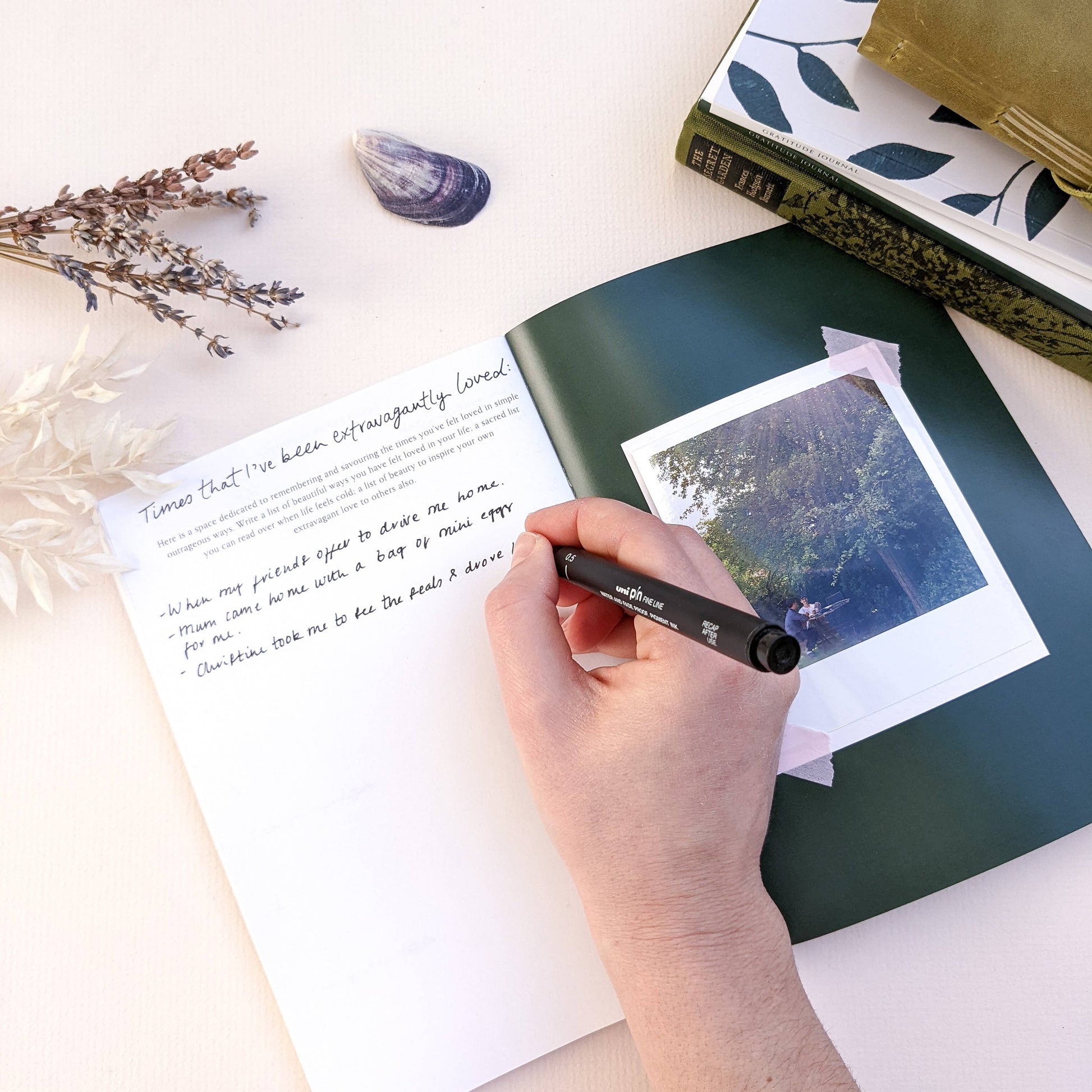 Wildflower Gratitude Journal Inside