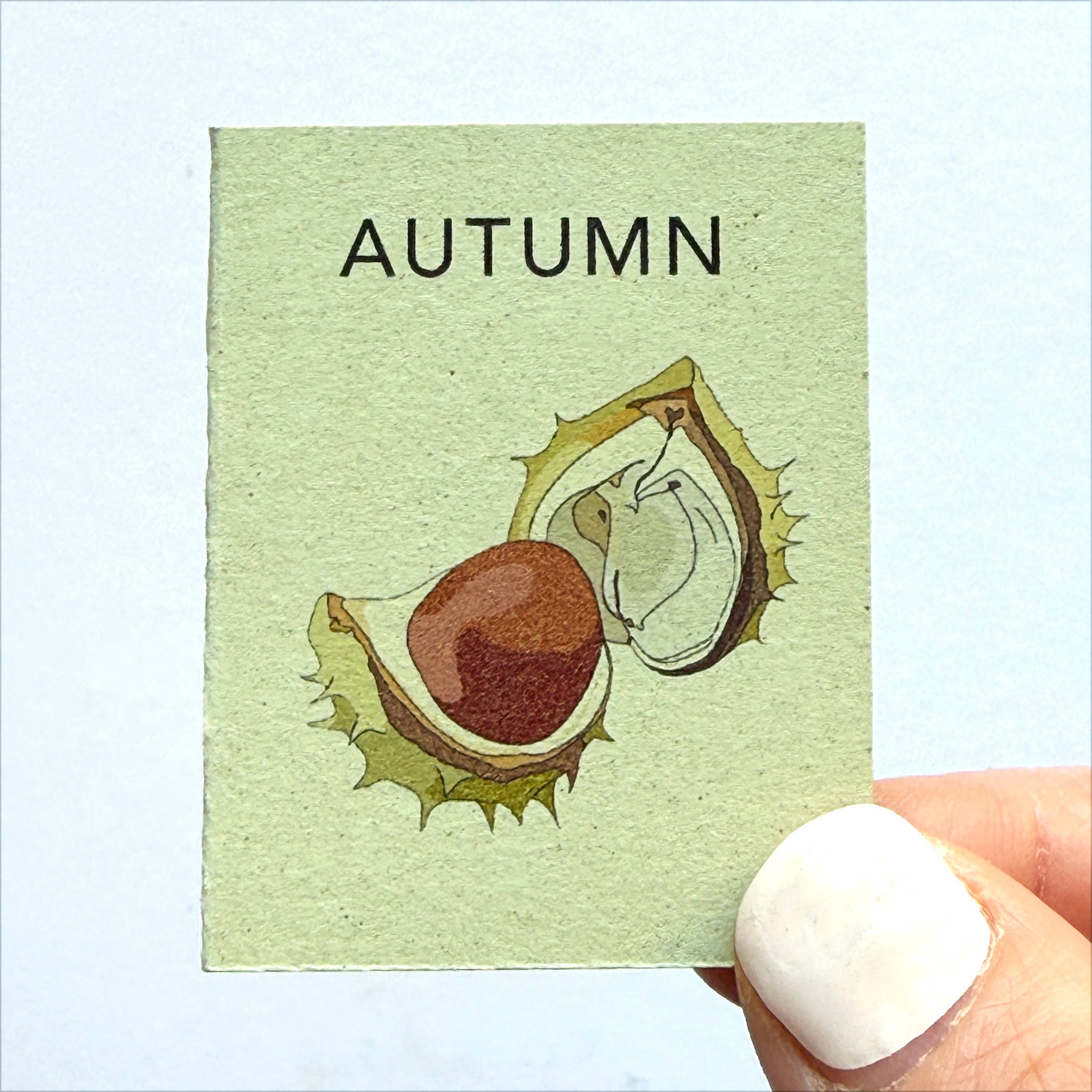 Tiny Nature Books