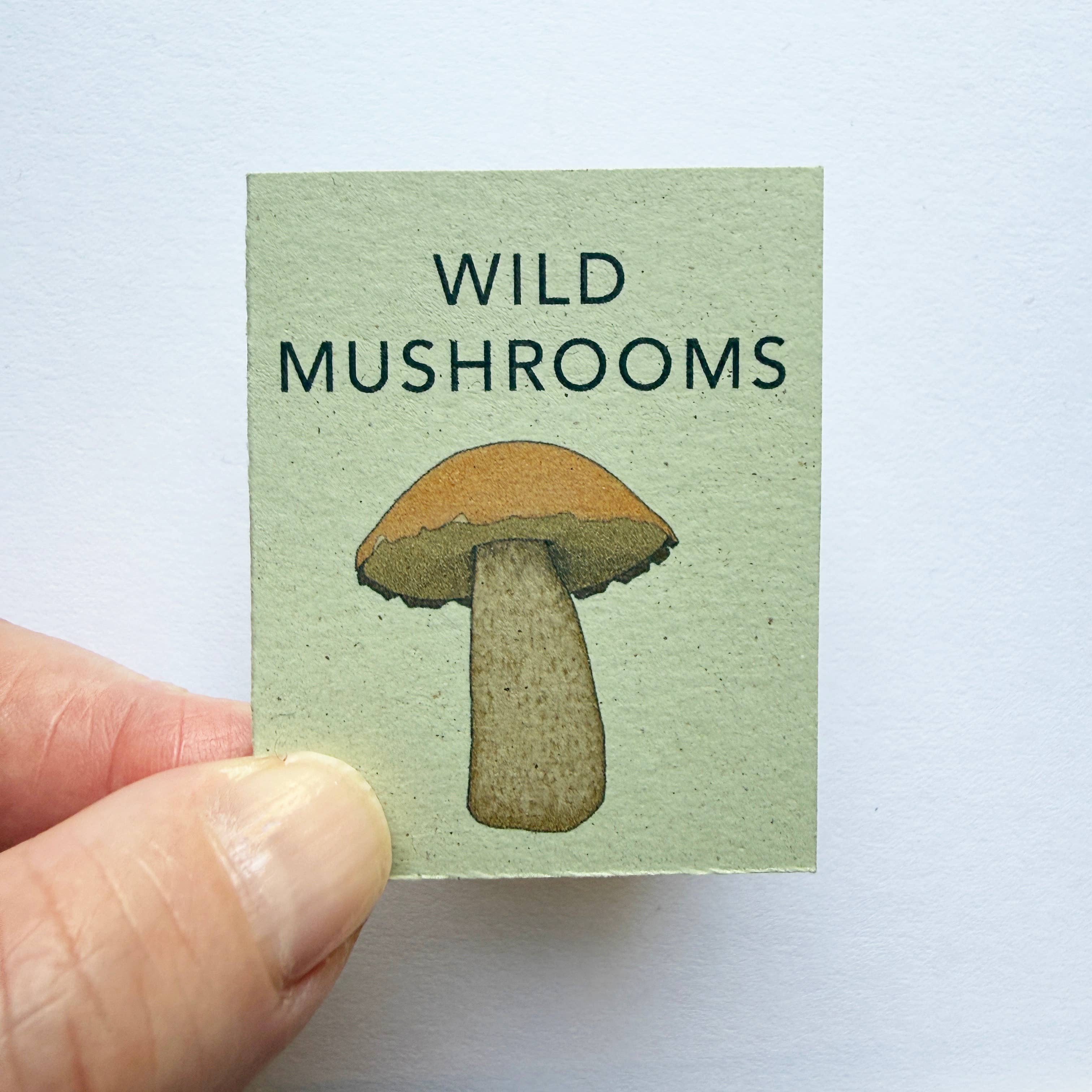 Tiny Nature Books