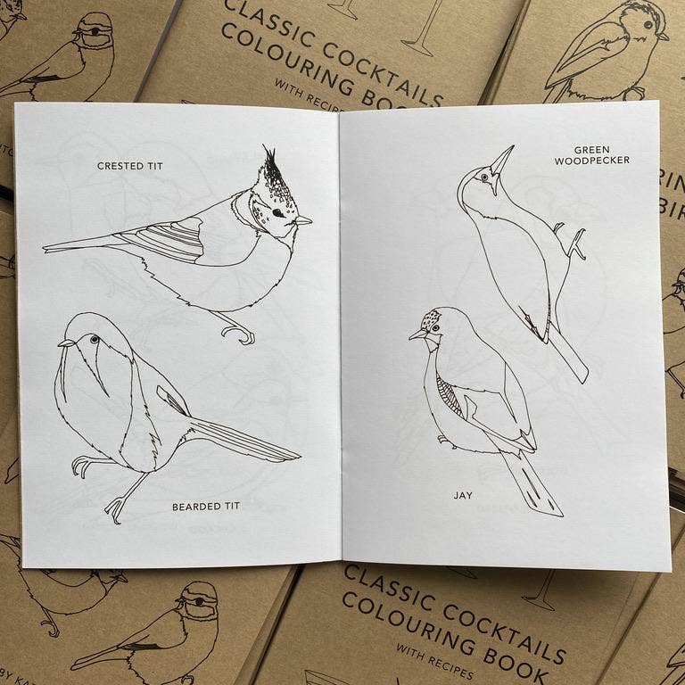 Bird Colouring Book