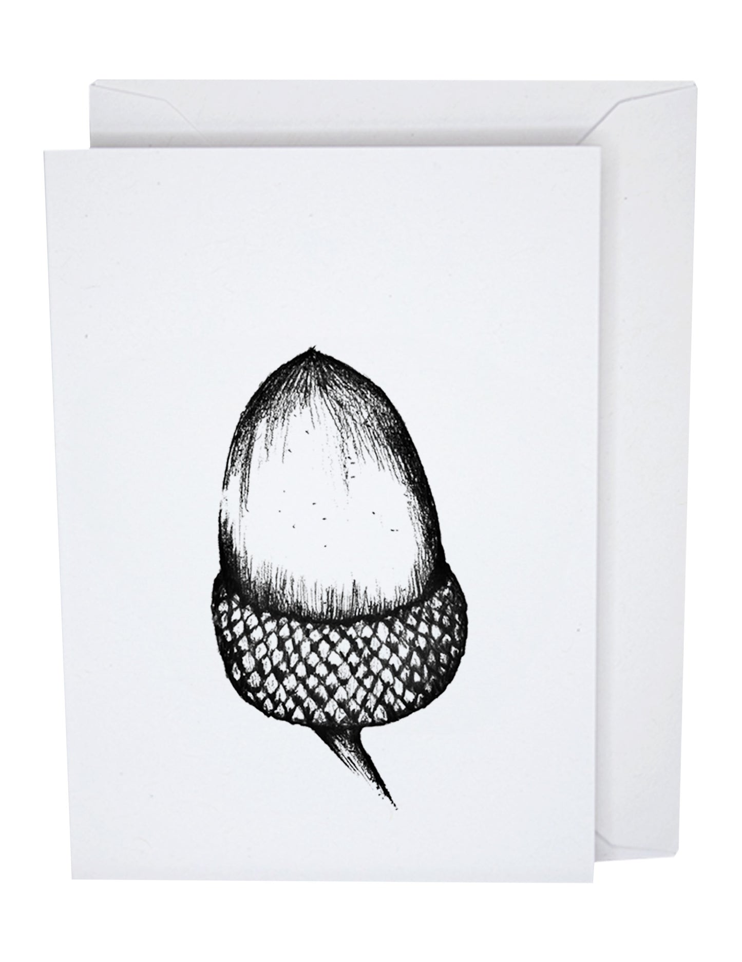 Acorn Greeting Card