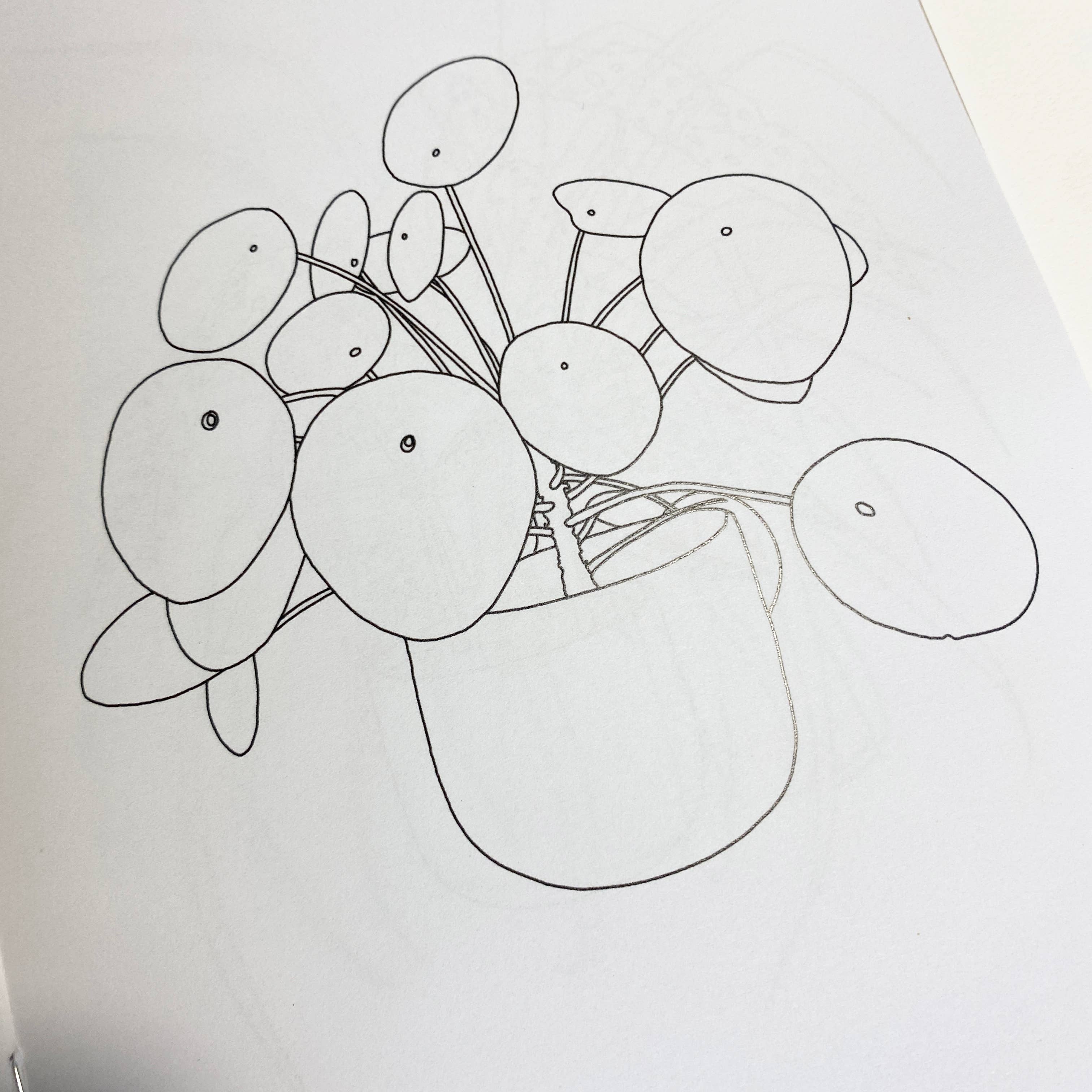 House Plant Colouring Book