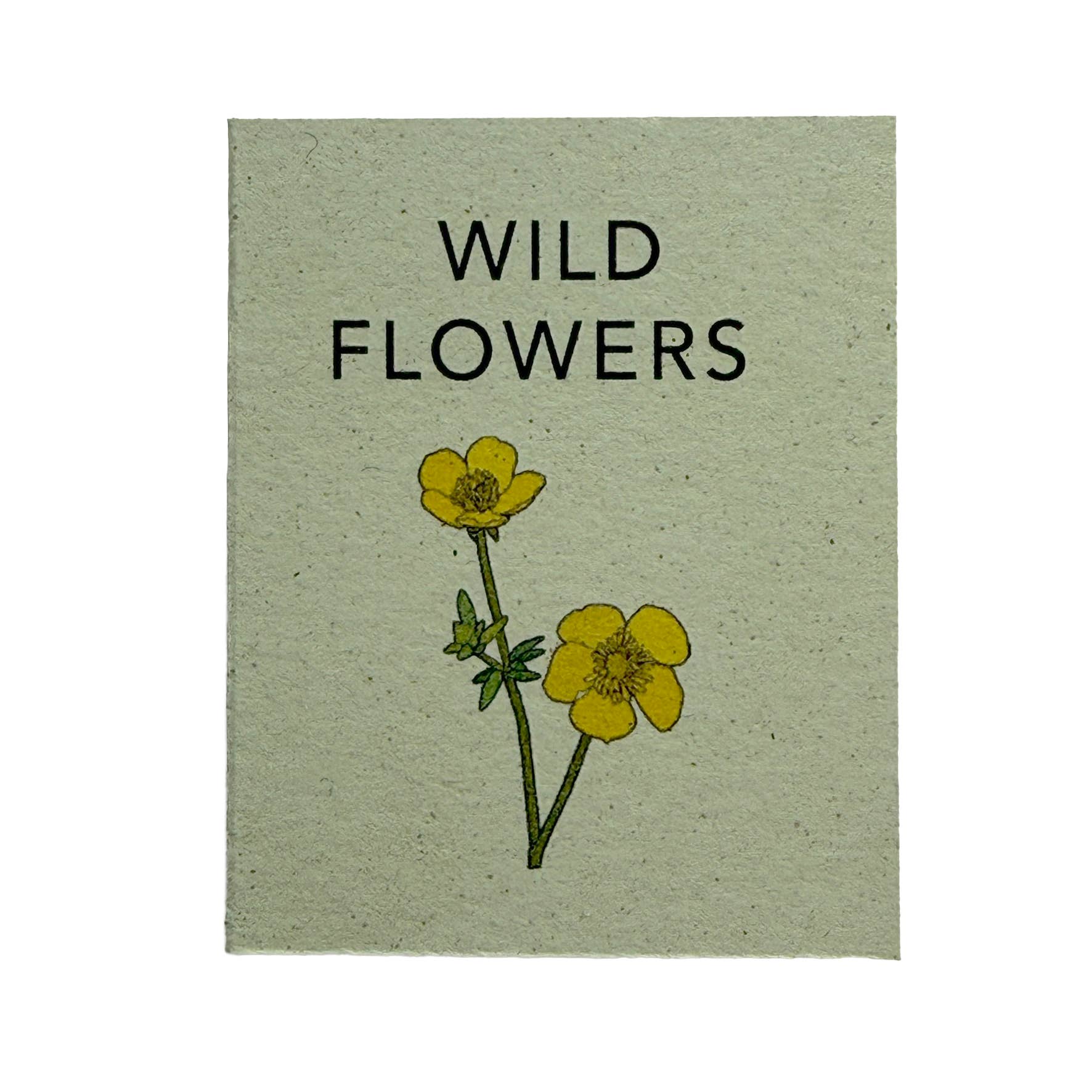 Tiny Nature Books