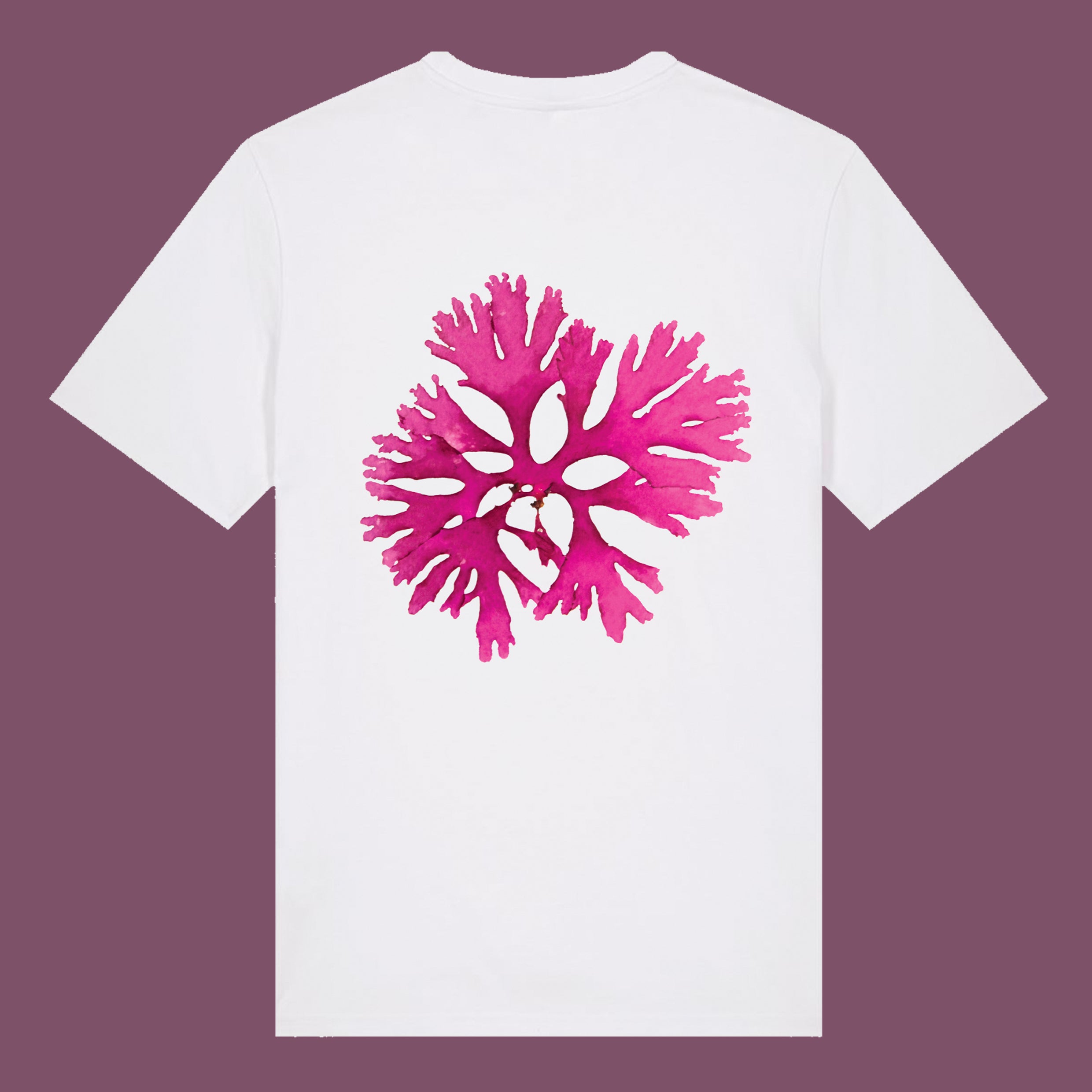 Organic Cotton T-Shirts
