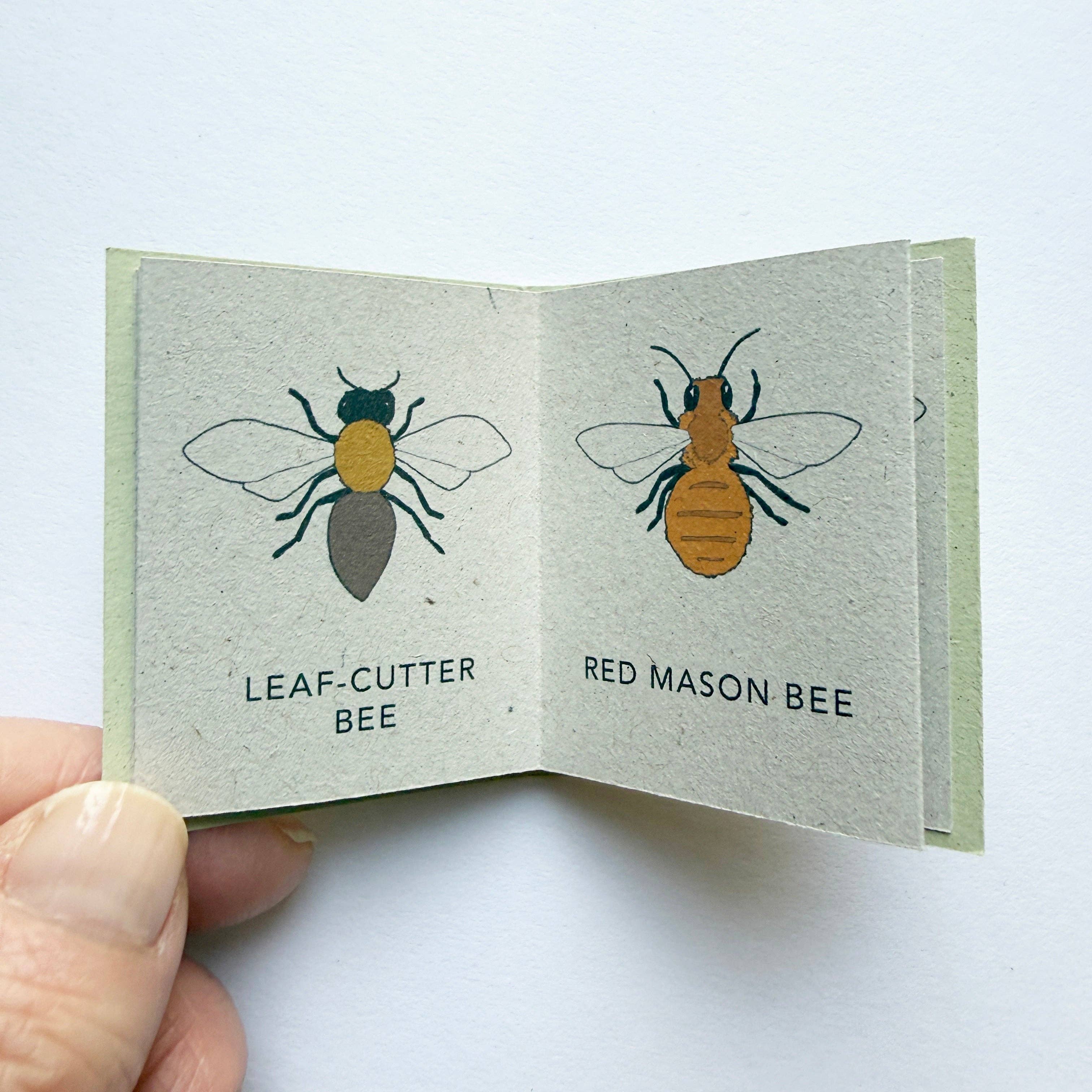 Tiny Nature Books