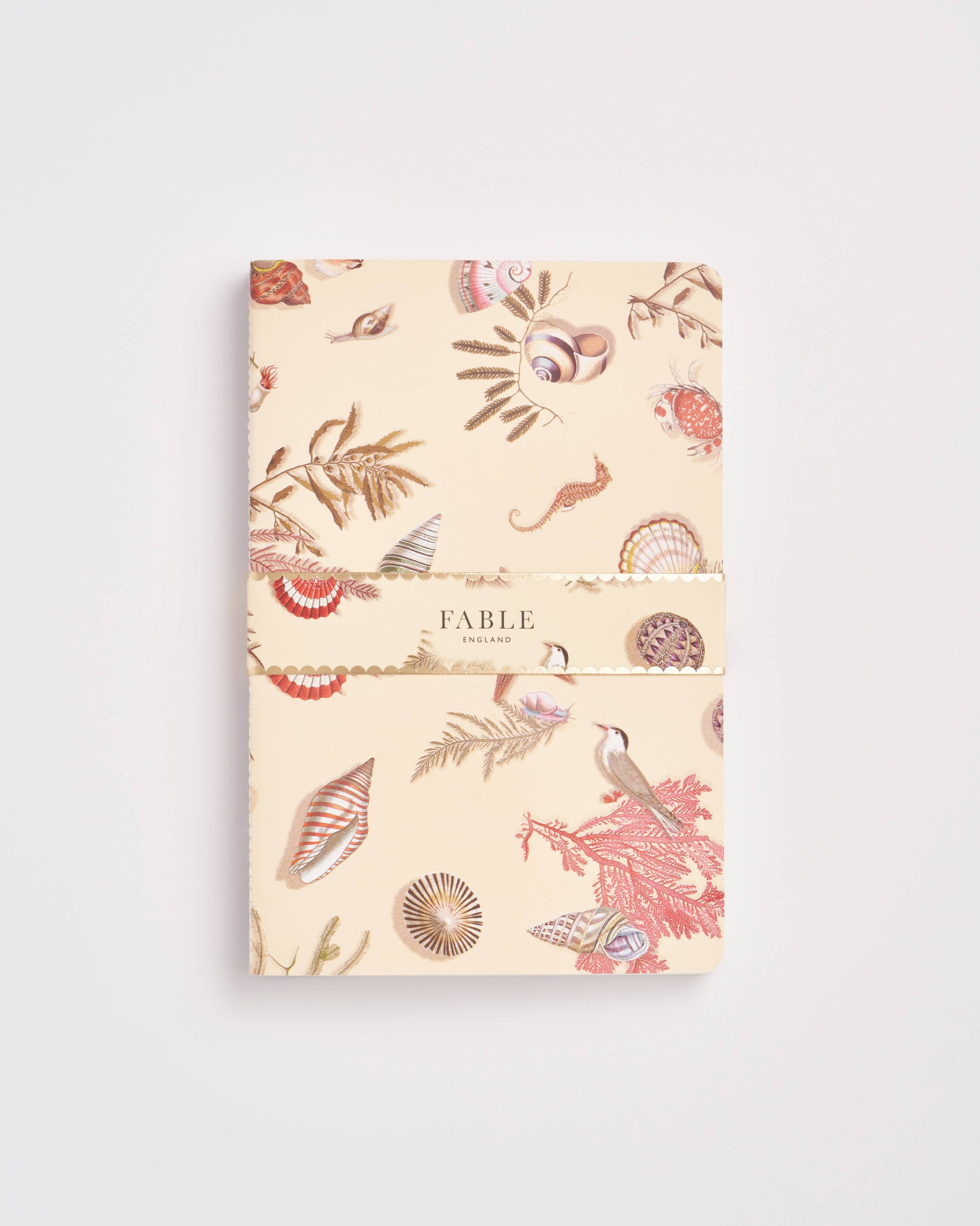 Pack of 3 Coastal Notebooks