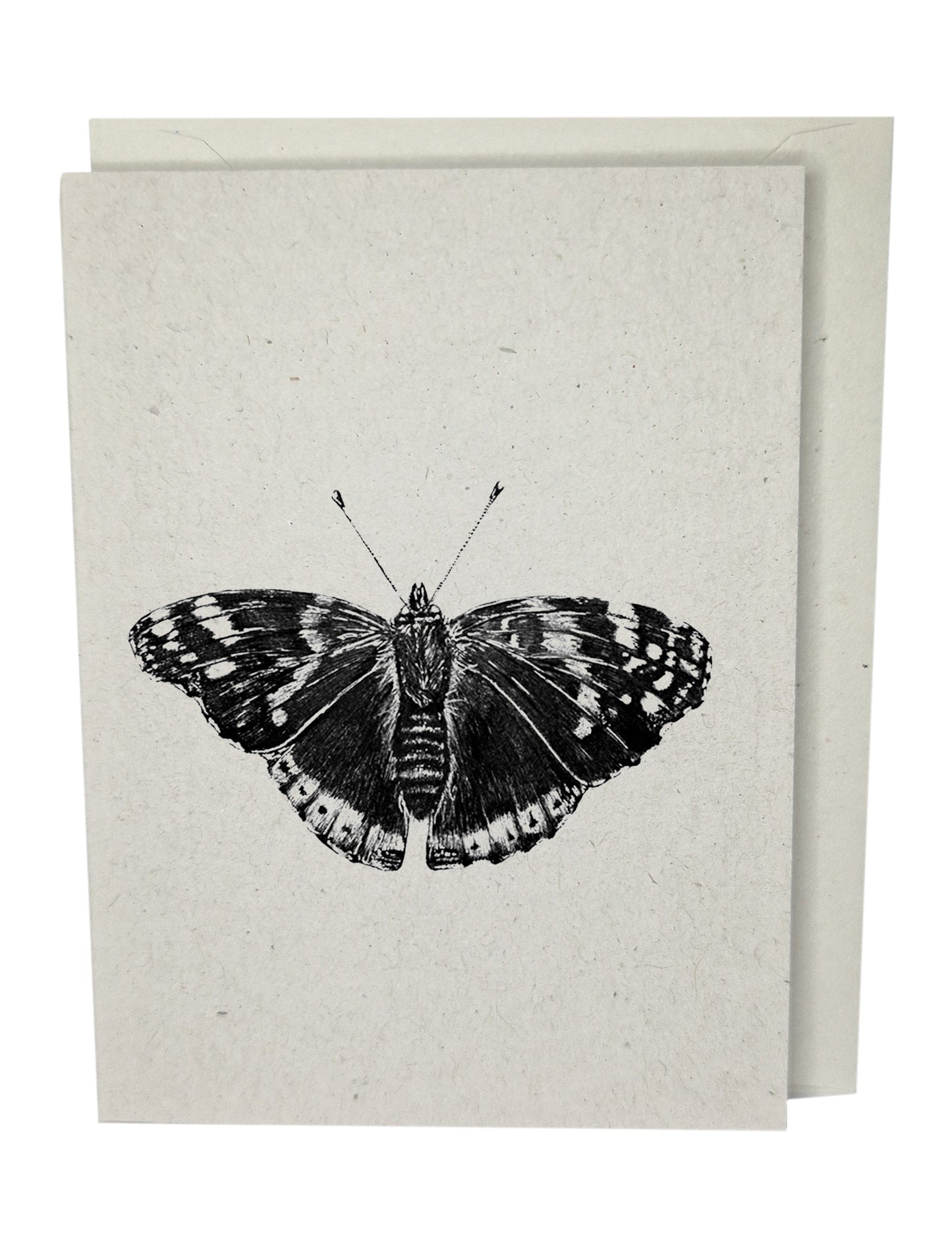 Butterfly Greeting Card