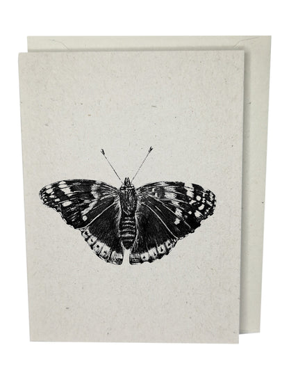 Butterfly Greeting Card