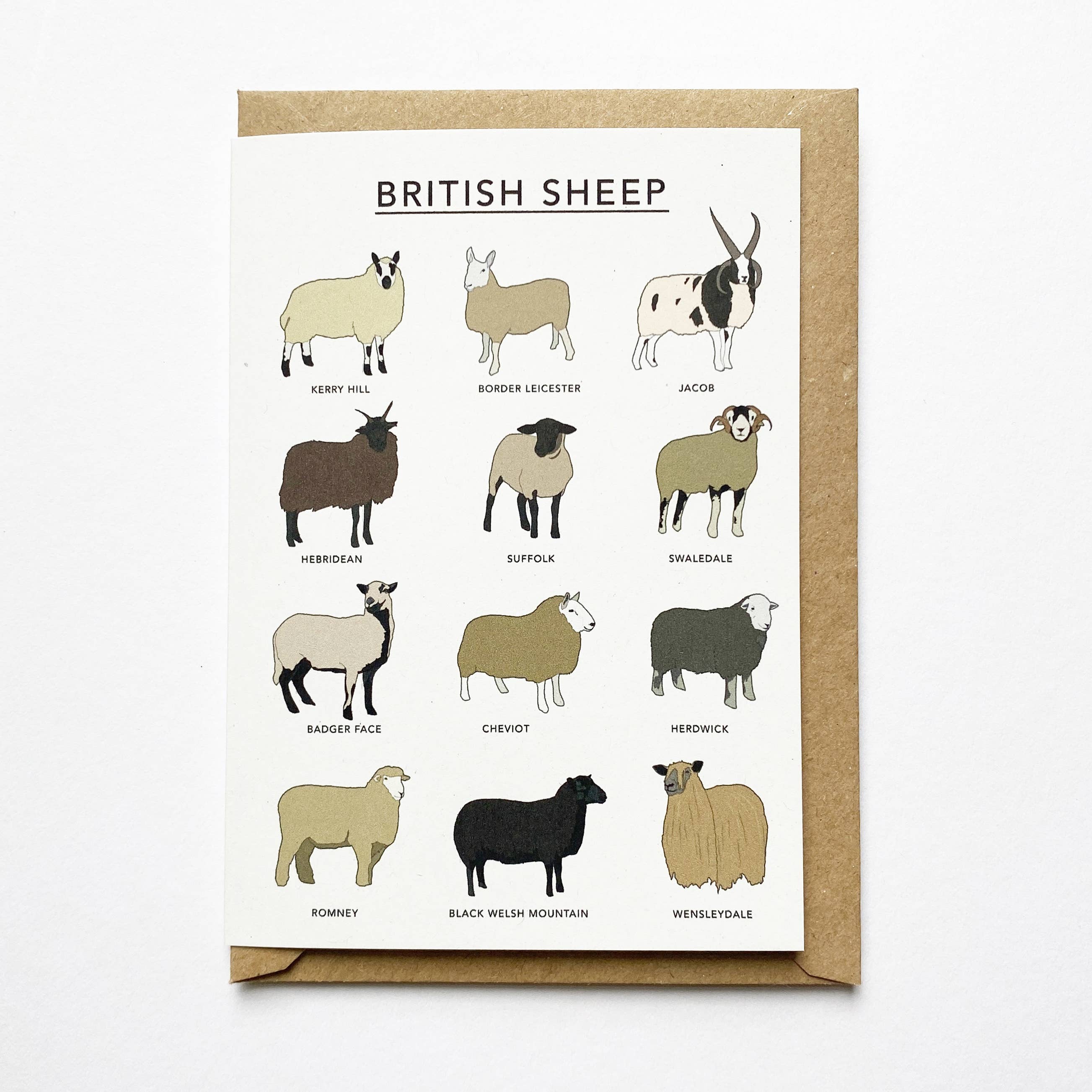 British Sheep Illustrated Greeting Card 
