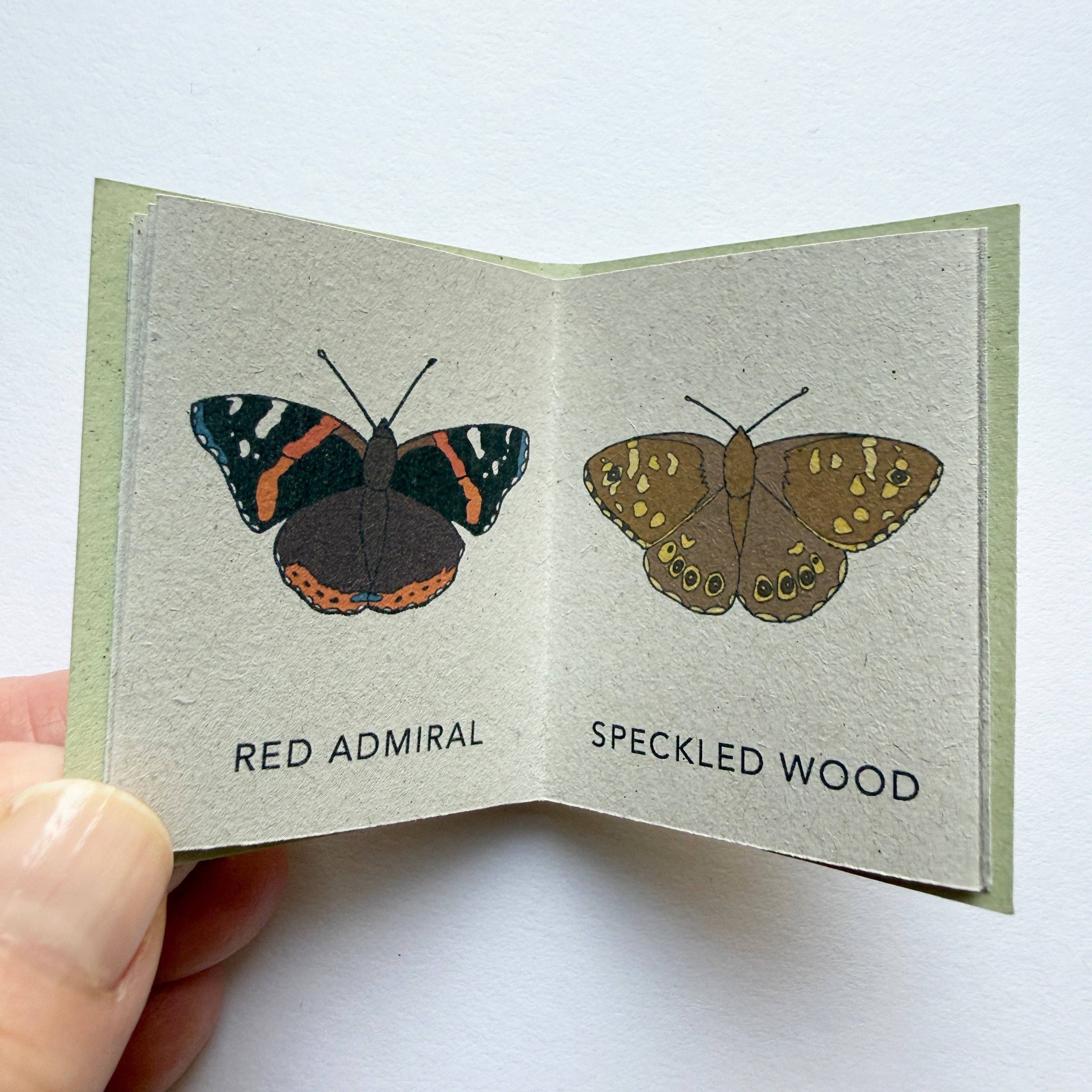 Tiny Nature Books