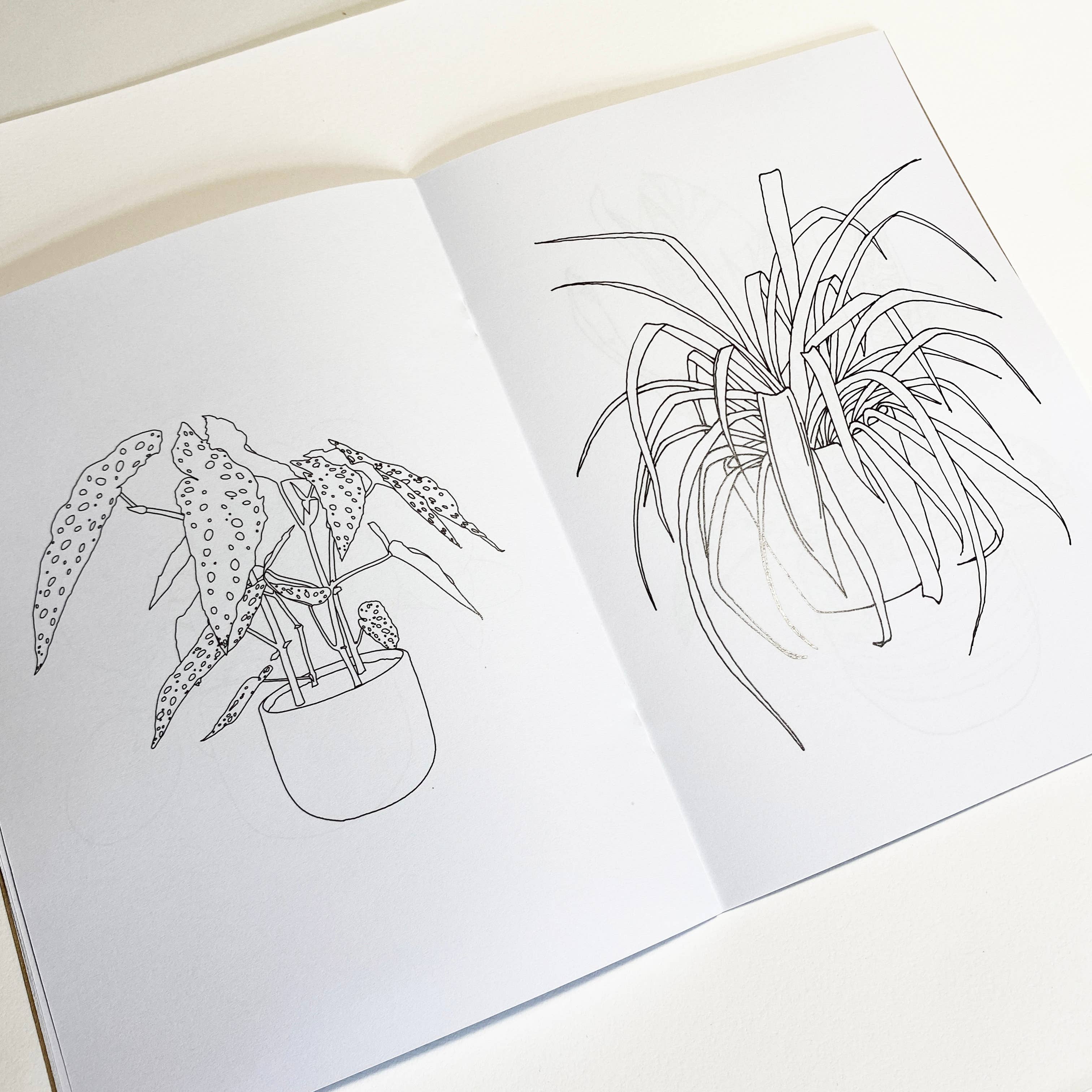 House Plant Colouring Book