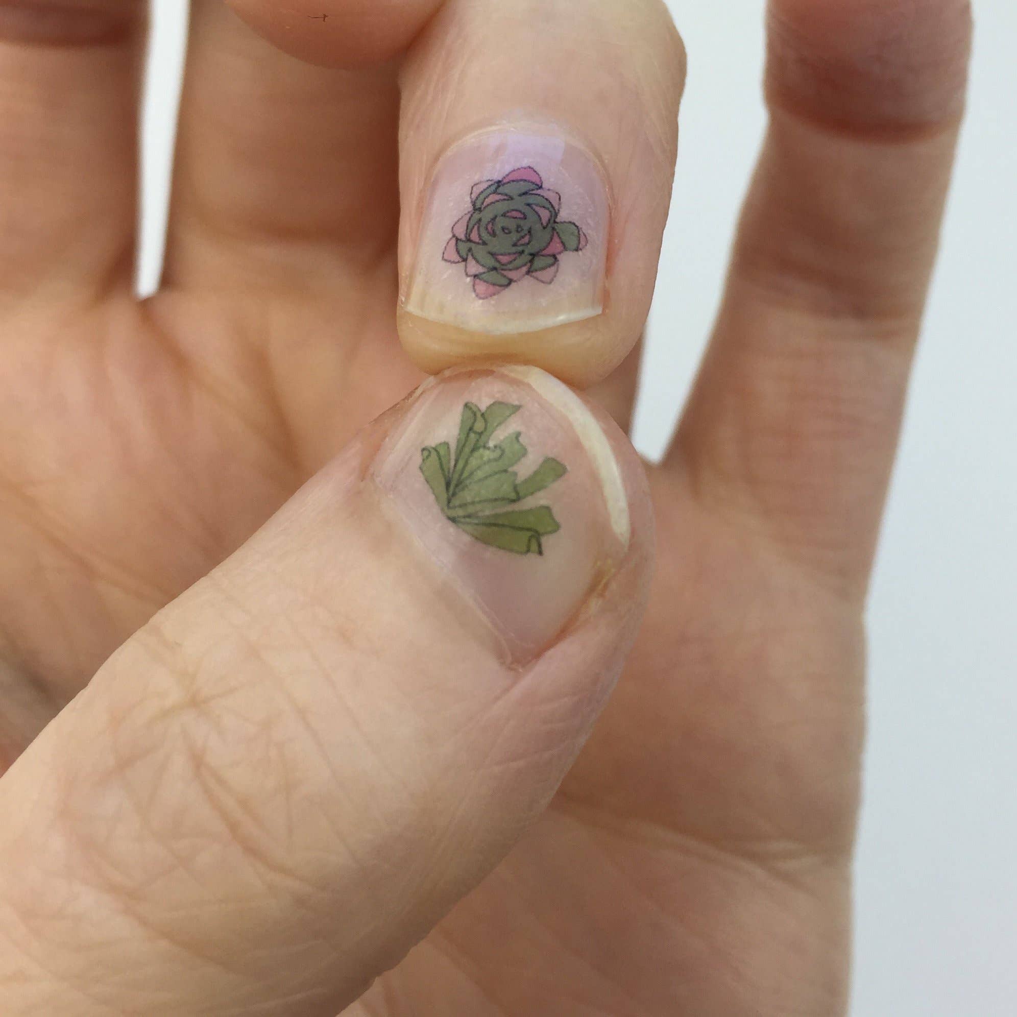 Succulent Nail Art Transfers