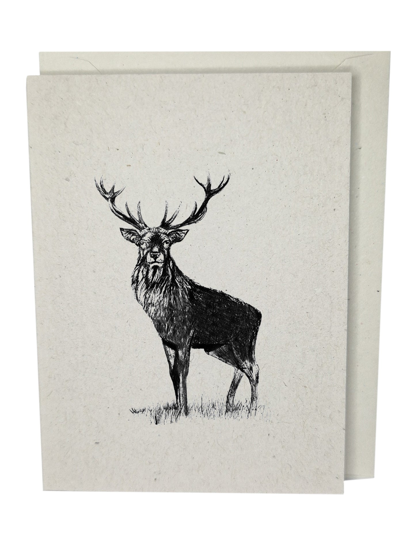 Stag Greeting Card