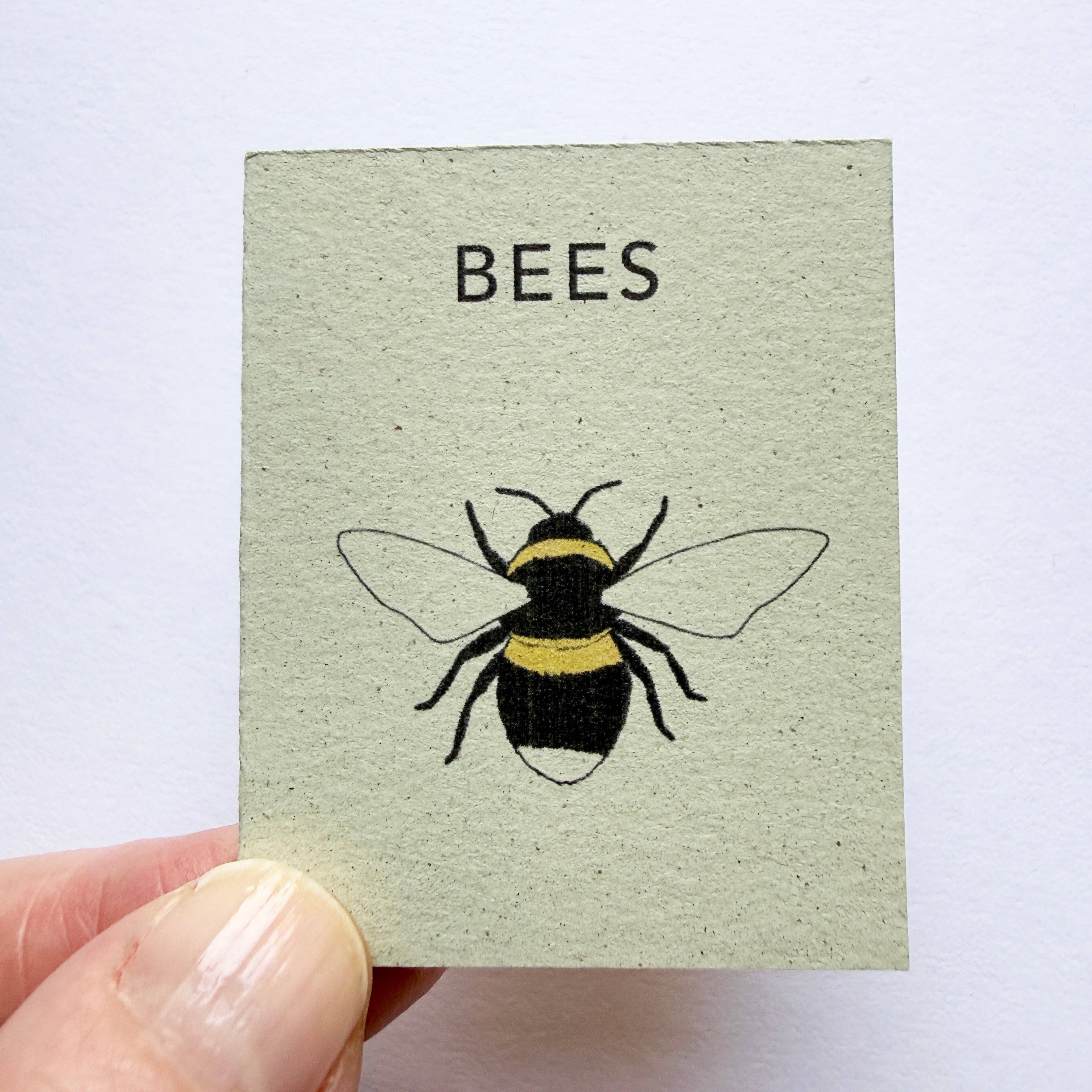 Tiny Nature Books