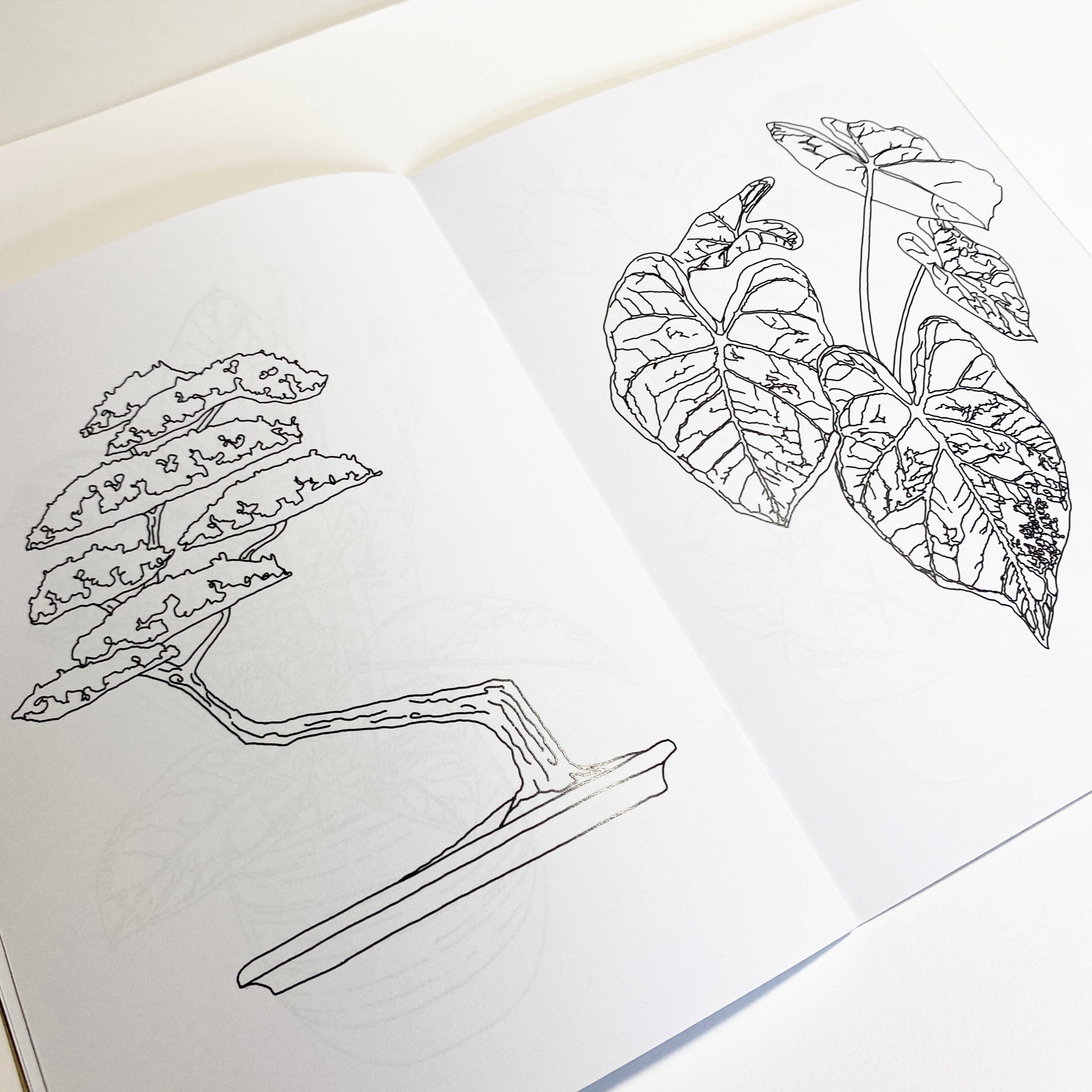 House Plant Colouring Book