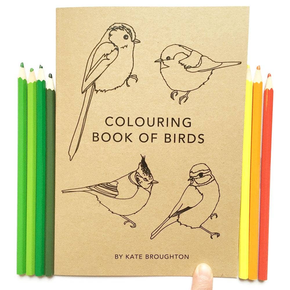 Bird Colouring Book