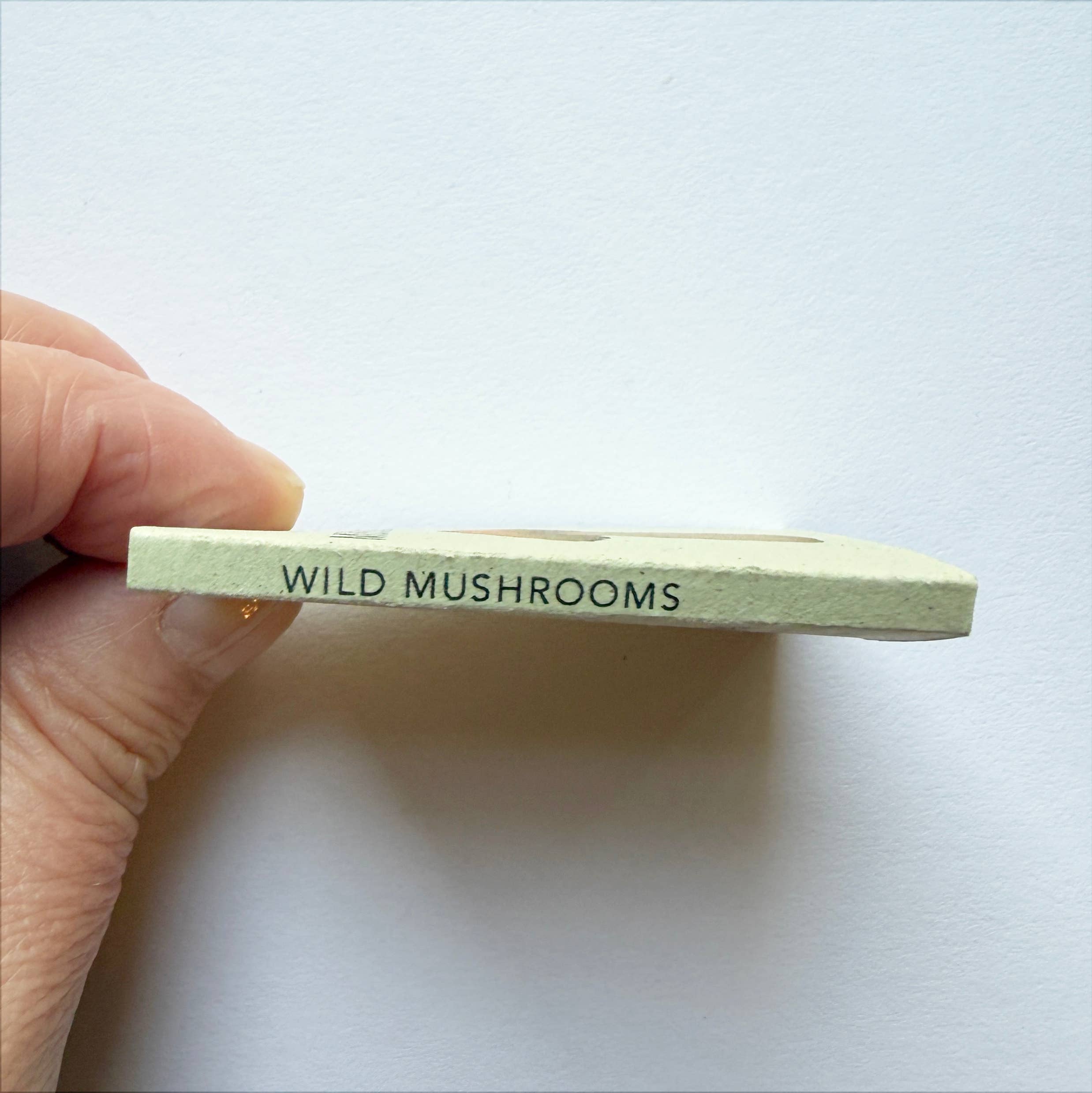 Tiny Nature Books