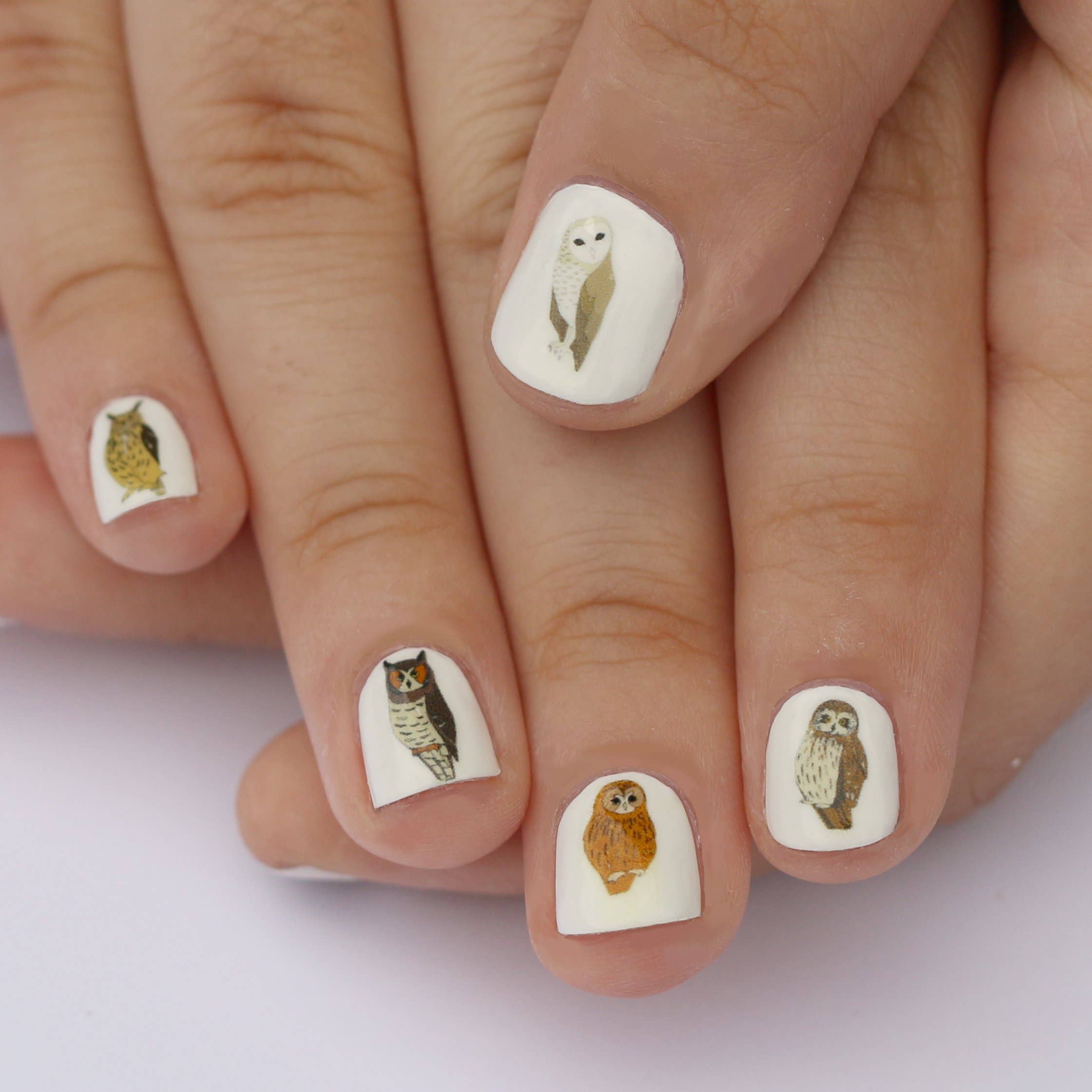 Owl Nail Art Transfers