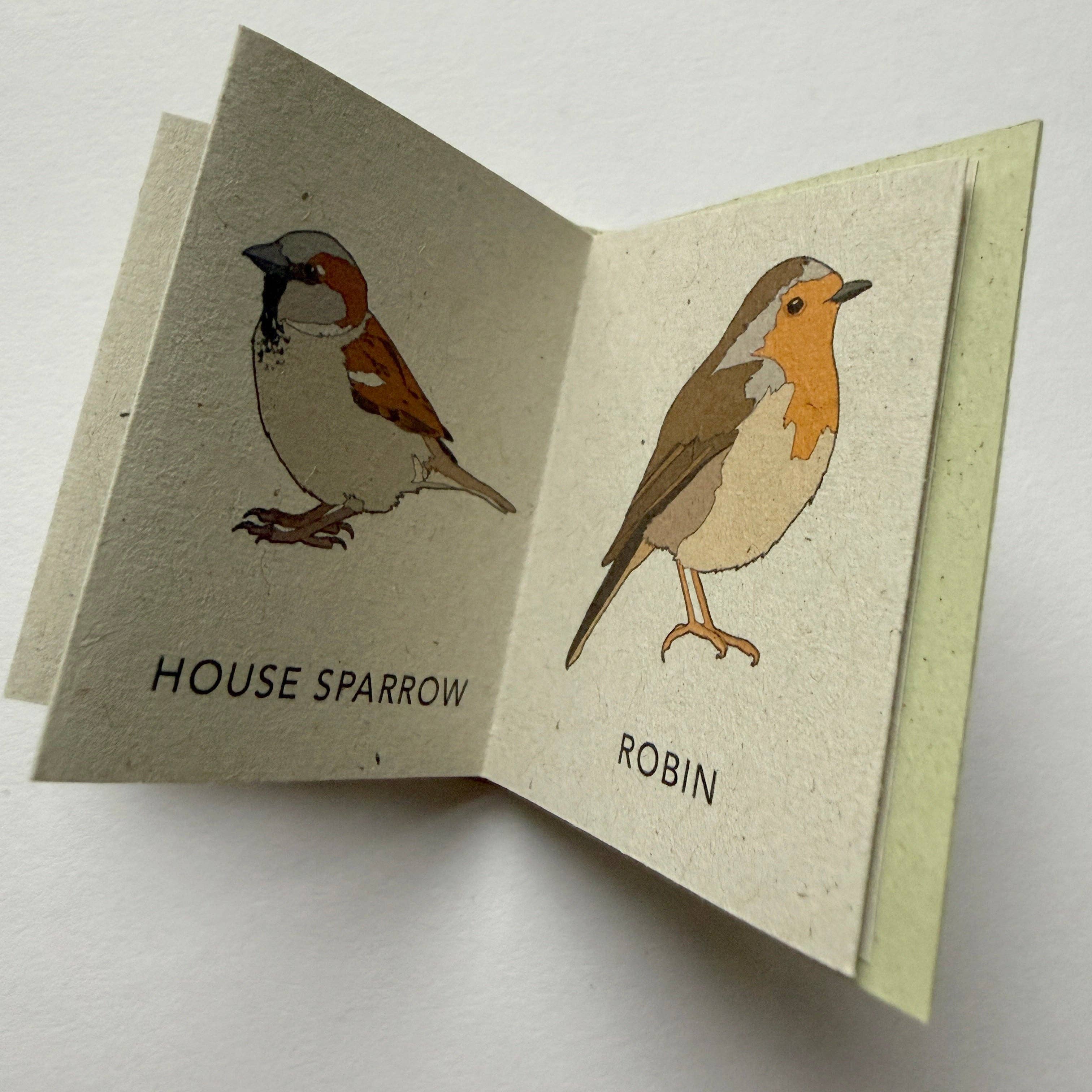 Tiny Nature Books
