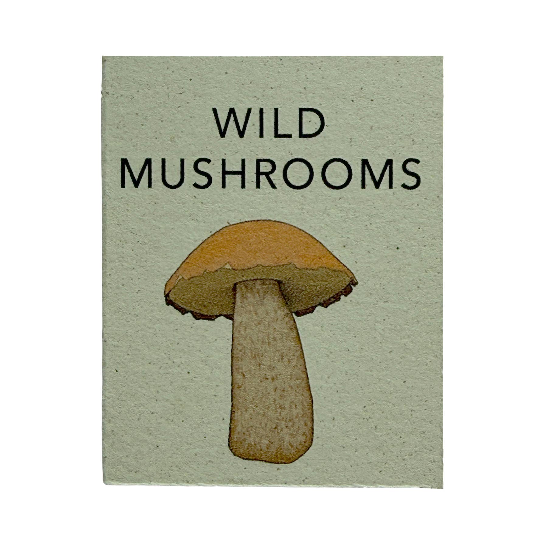 Tiny Nature Books