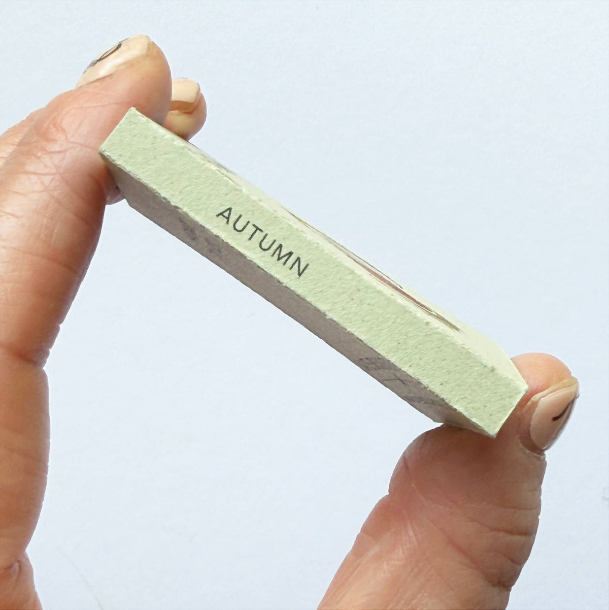 Tiny Nature Books