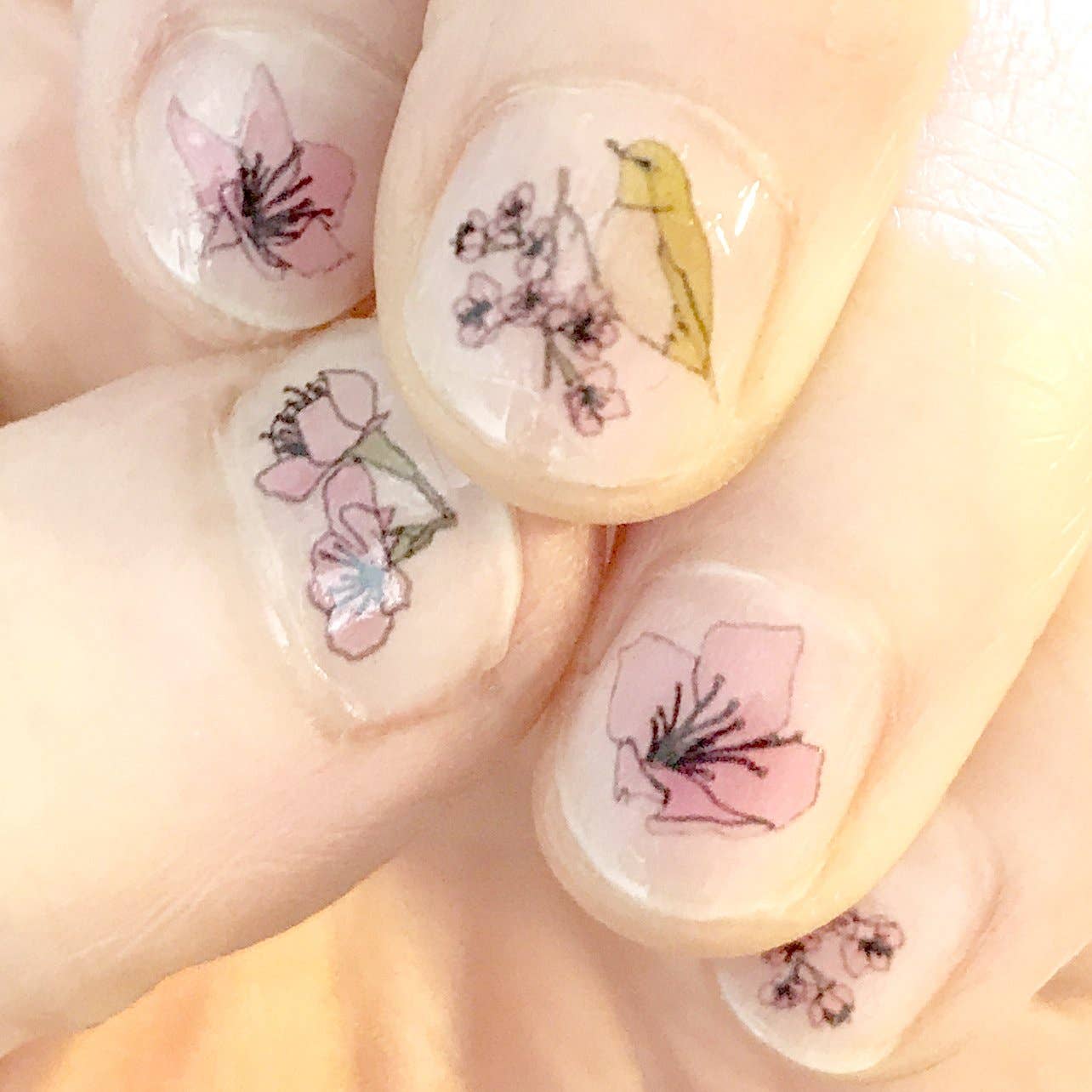 Cherry Blossom Nail Art Transfers