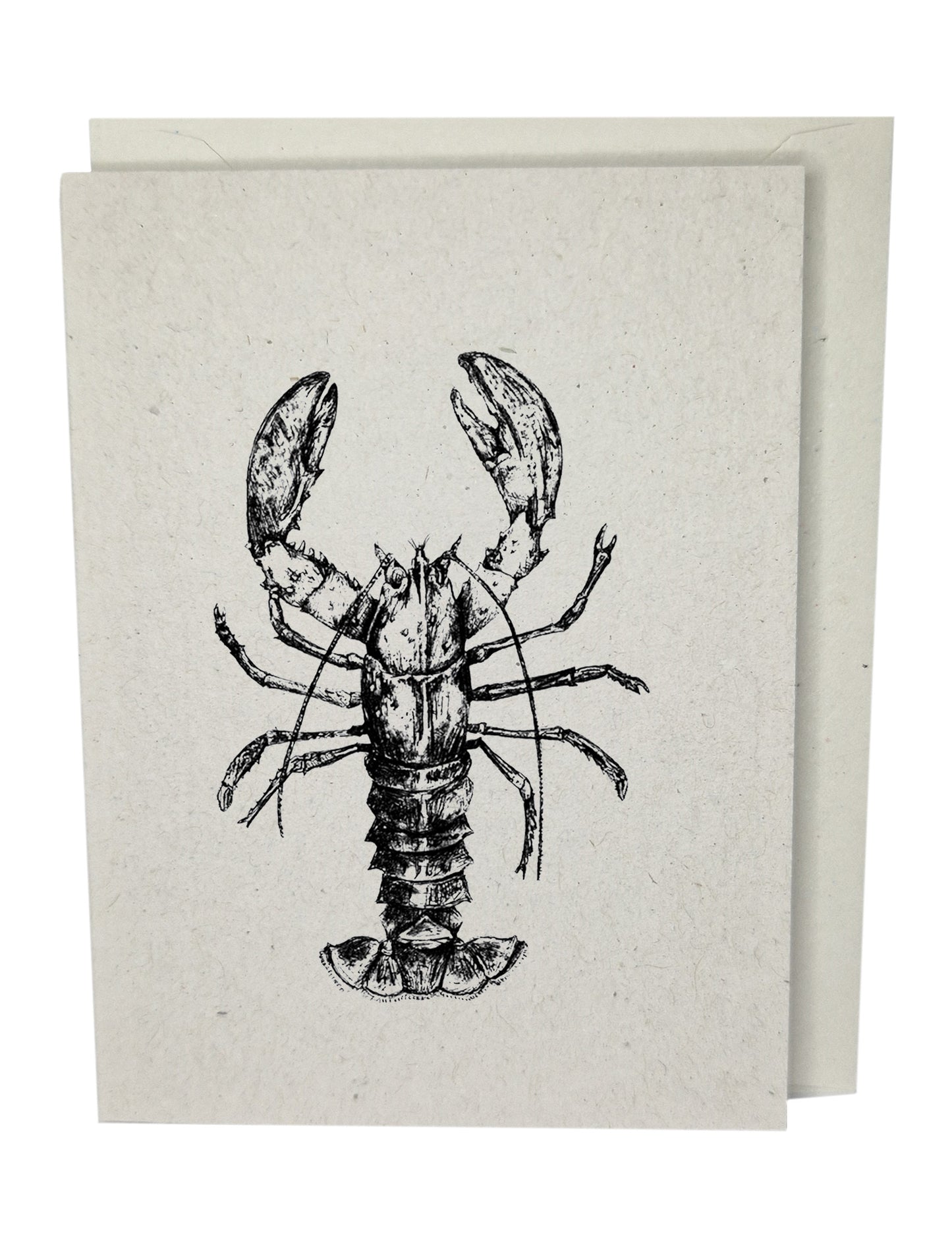 Lobster Greeting Card