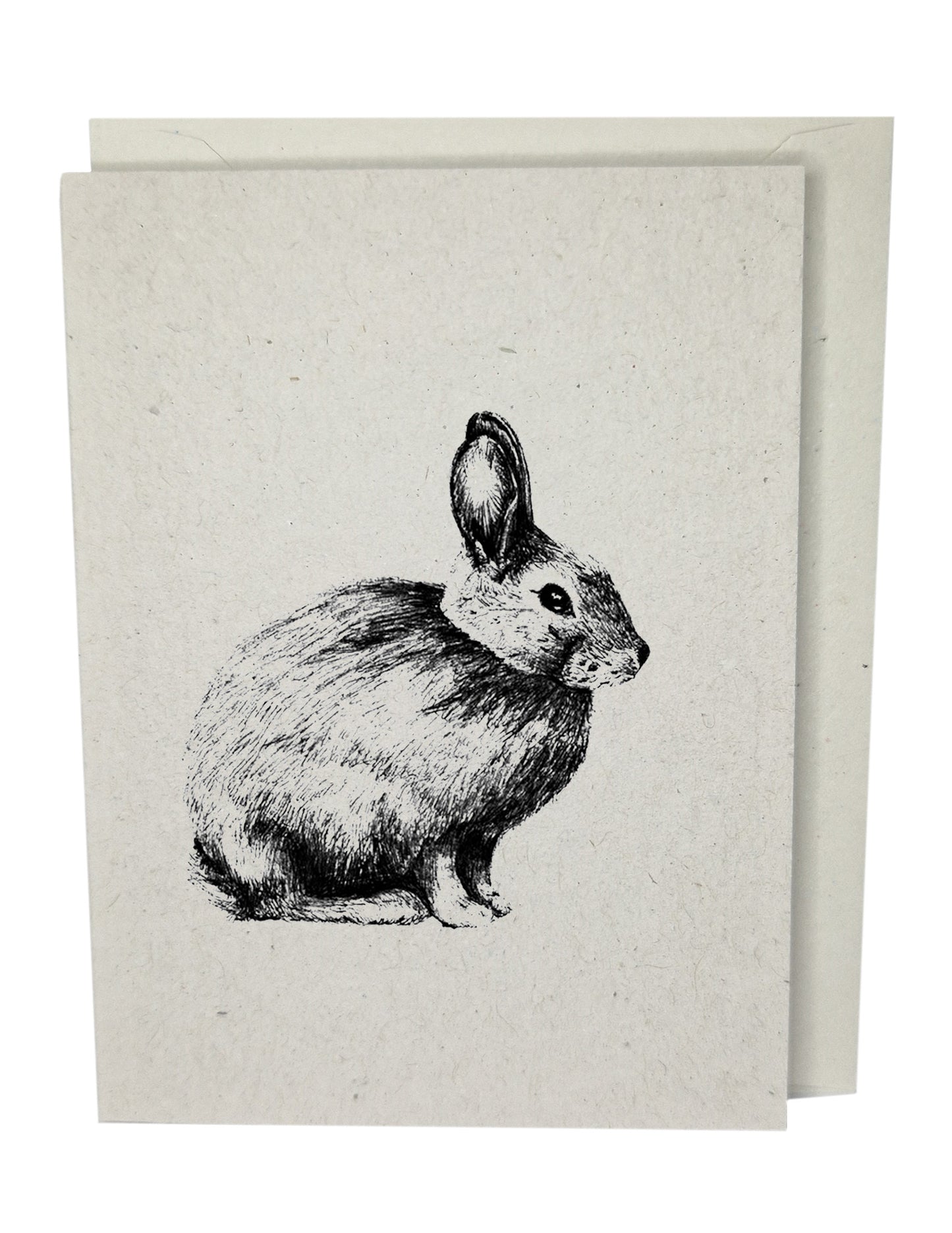 Rabbit Greeting Card