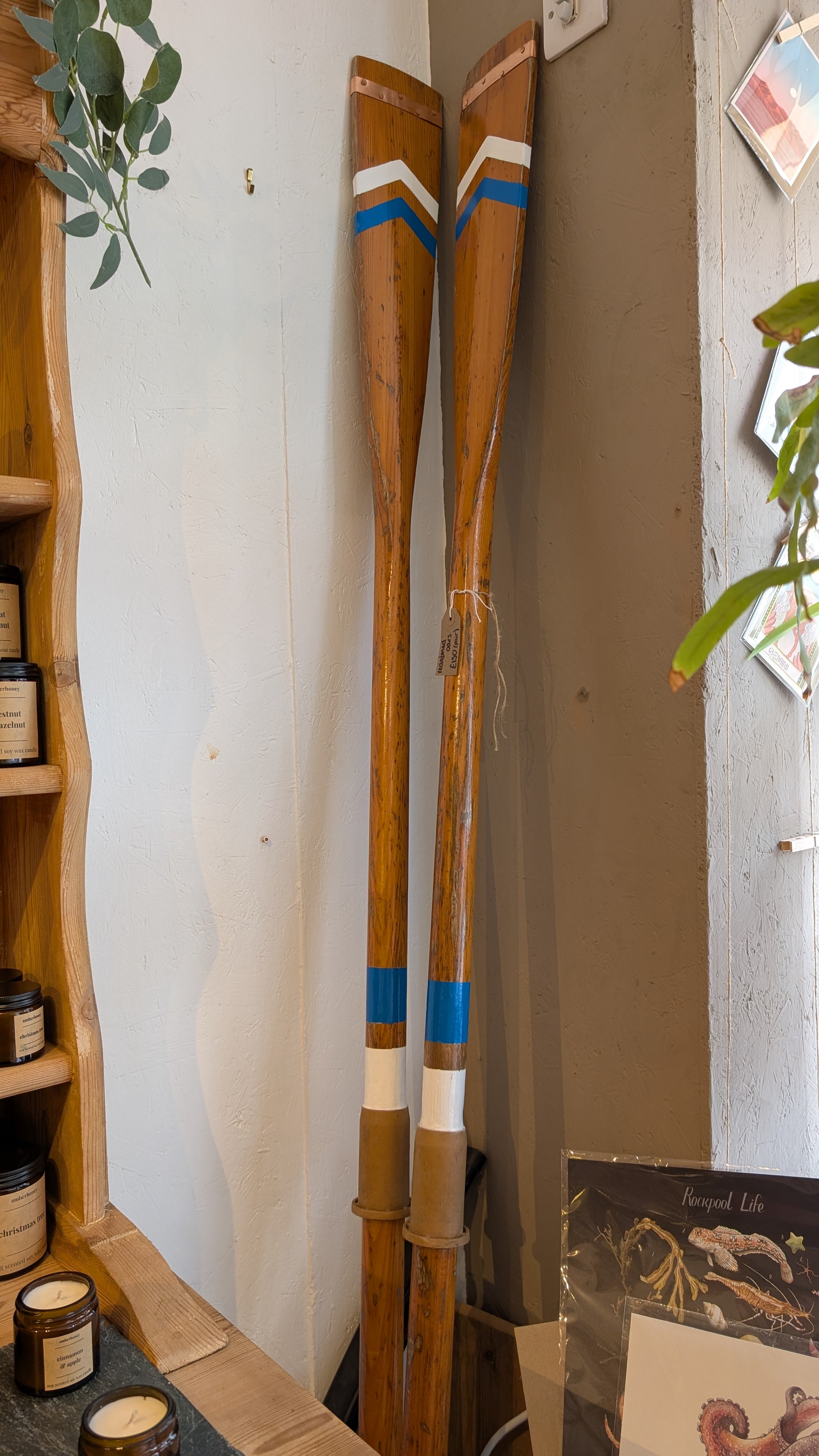 Reclaimed Wooden Oars